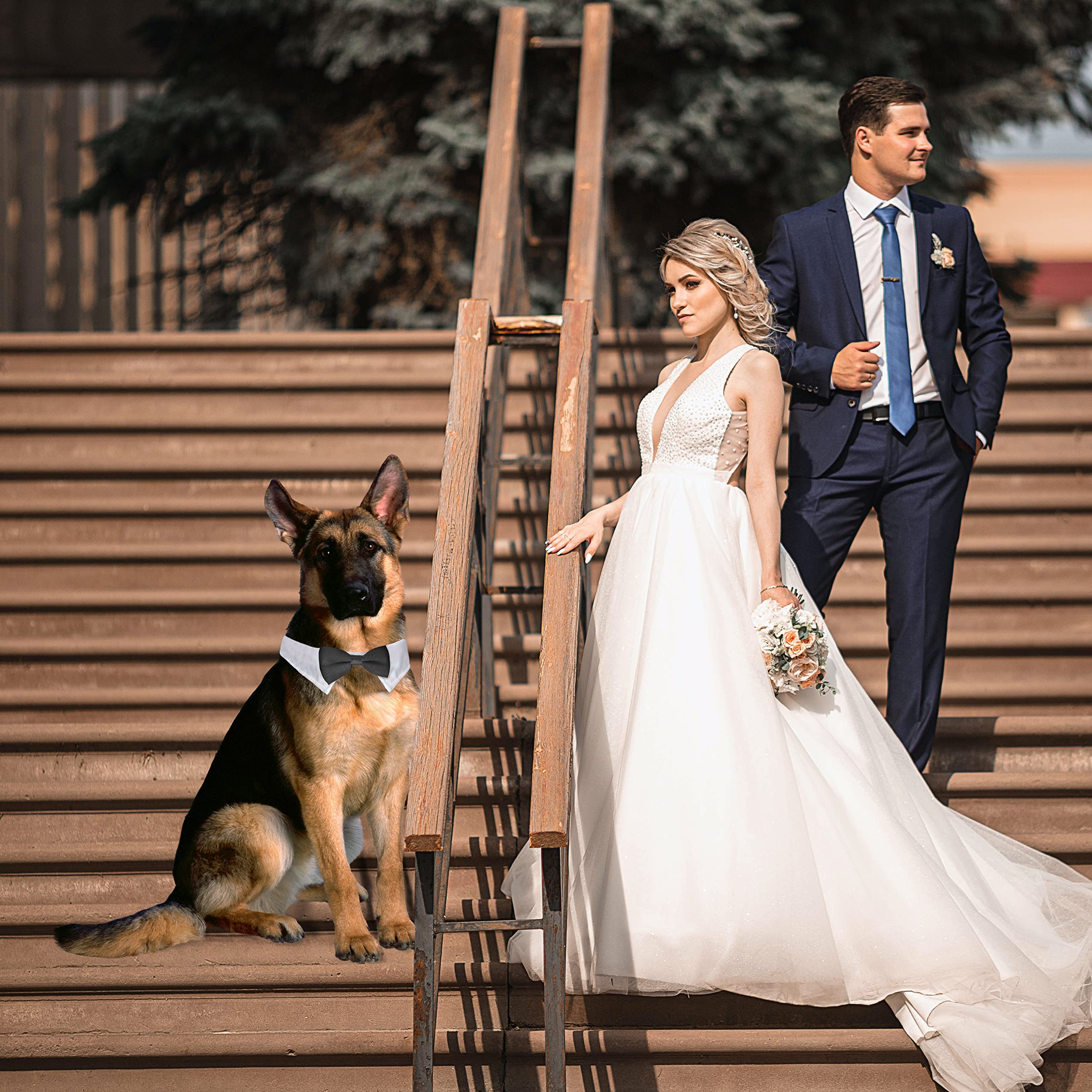 Koolmox Extra Large Dog Tuxedo Collar & Bow Tie Set, Adjustable 22.8'' Black Tux for Cats & Dogs, Wedding Attire & Grooming Costumes