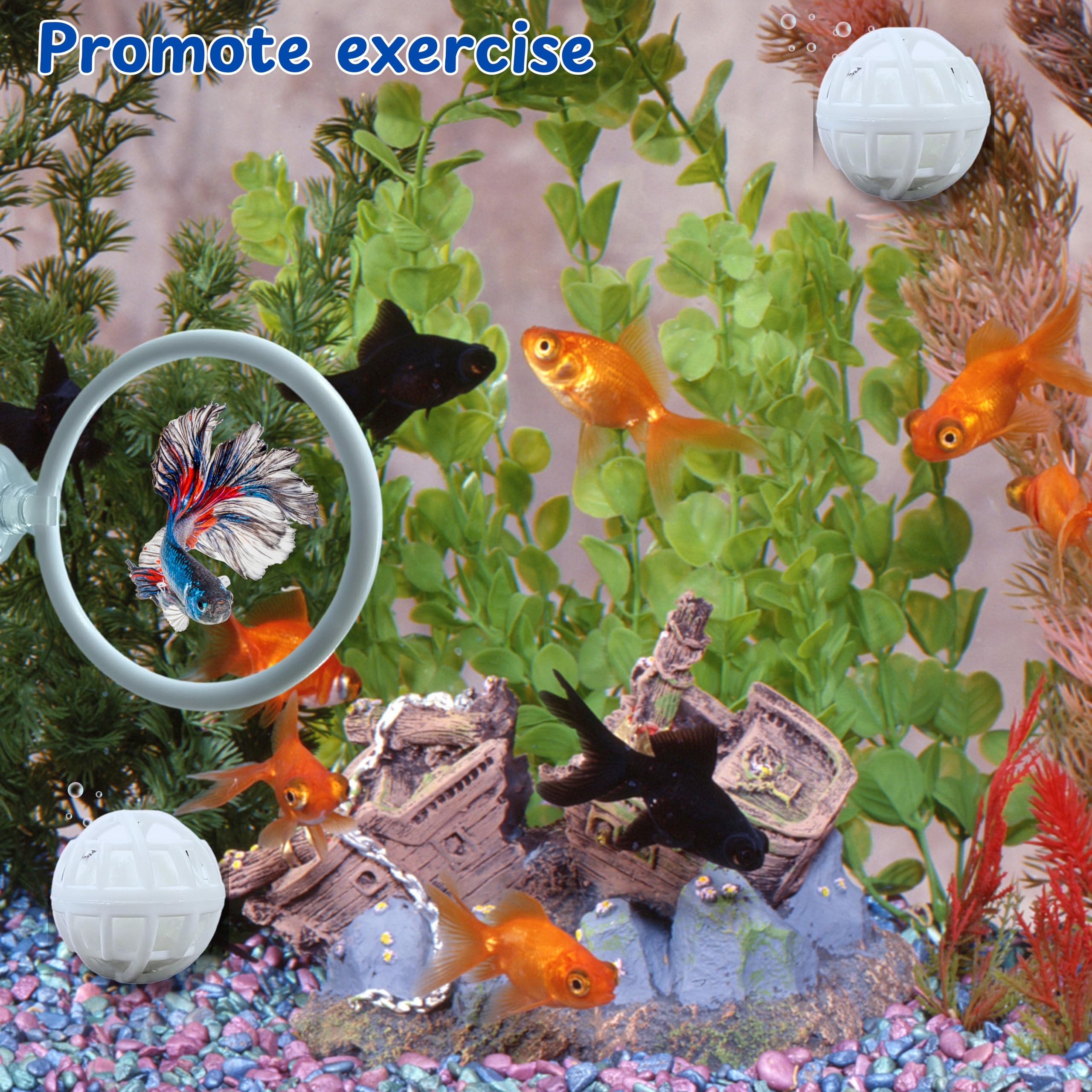 Betta Fish Exercise Ring And Filter Balls Set, Betta Ring Training Loop With Suction Cup And Nitrifying Ball, Betta Enrichment T