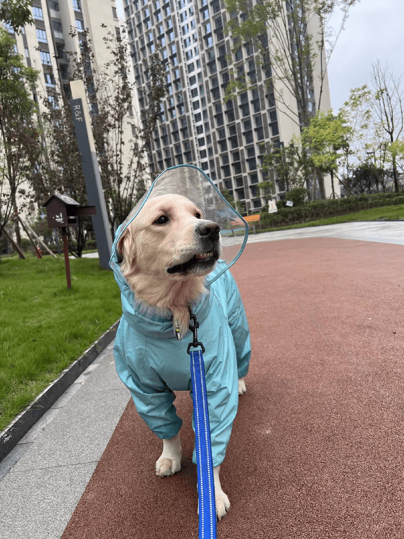 True Love Reflective Dog Leash Puppy Walking Lead, Padded Pet Chain Rope,Length 200Cm Truelove Tll2111(Royal Blue,L)