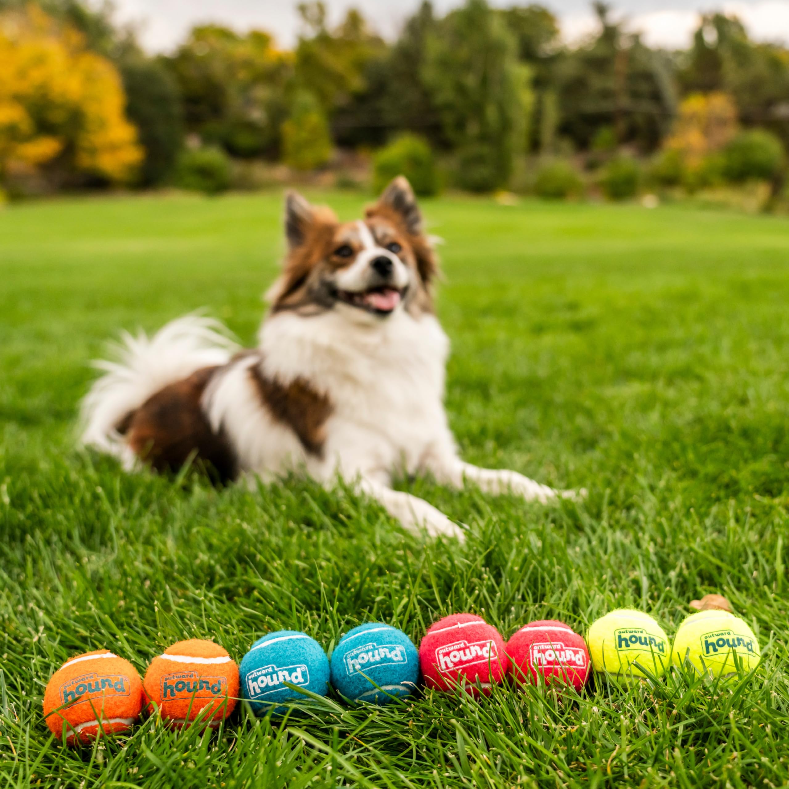 Outward Hound Squeaker Ballz Fetch Dog Toy, Small, 8- Pack