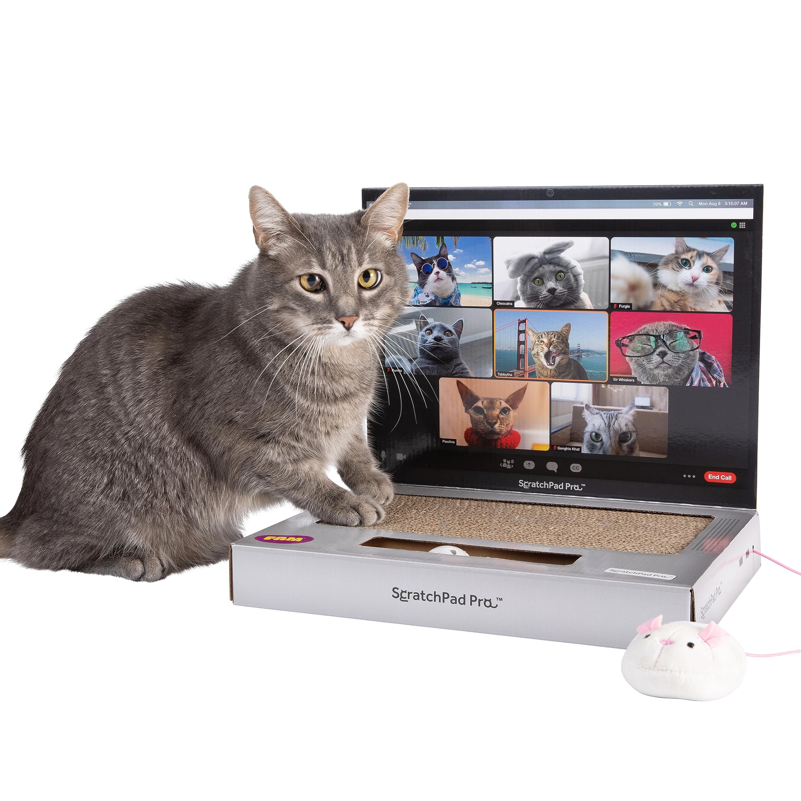 Scratchpad Pro - Cardboard Laptop Cat Scratcher, Interactive Cat Toys For Indoor Cats, Kitten Supplies And Cat Stuff By Relatabl