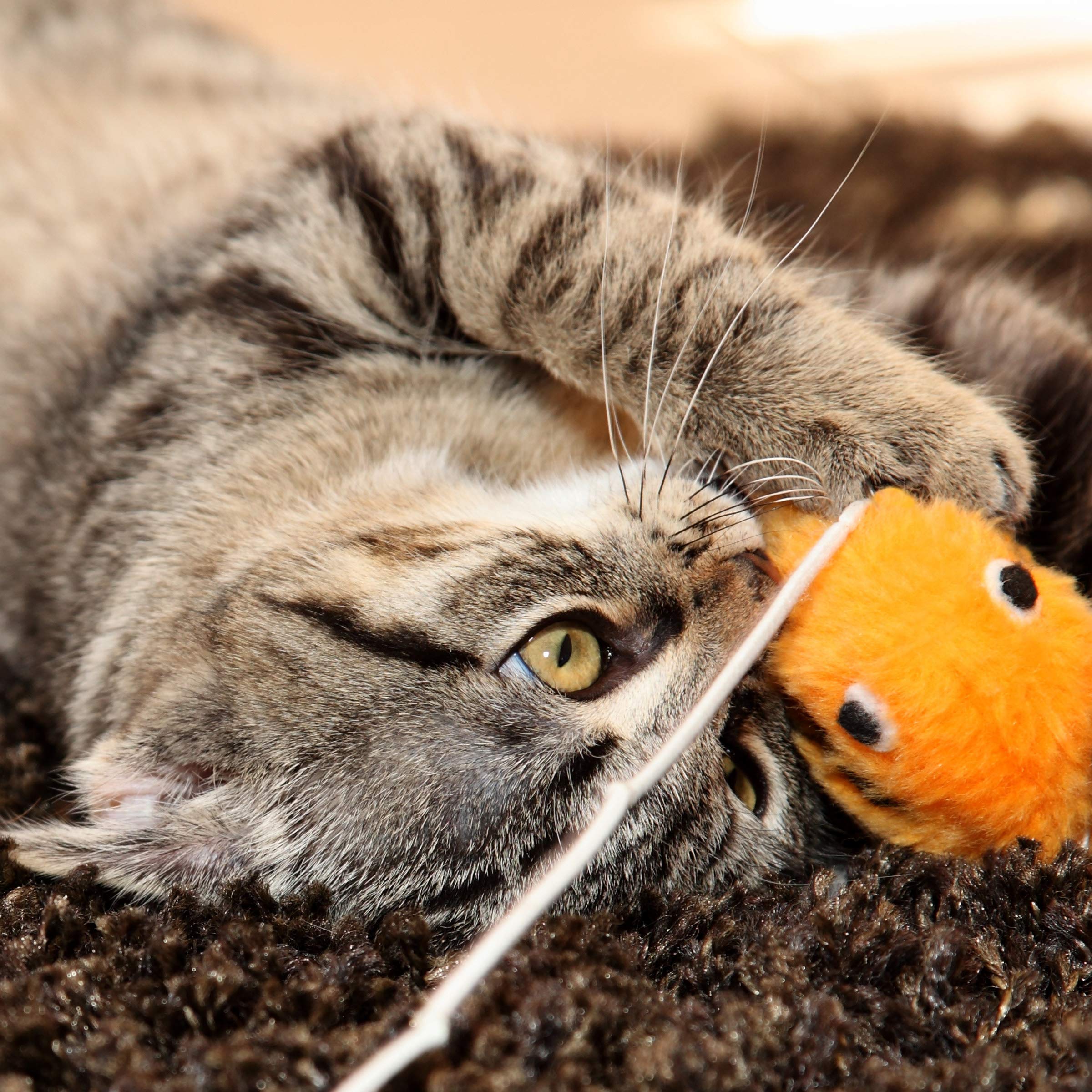 Petmaker Cat Activity Center- Interactive Play Area Station For Cats, Kittens With Fleece Mat, Hanging Toys, Foldable Design For