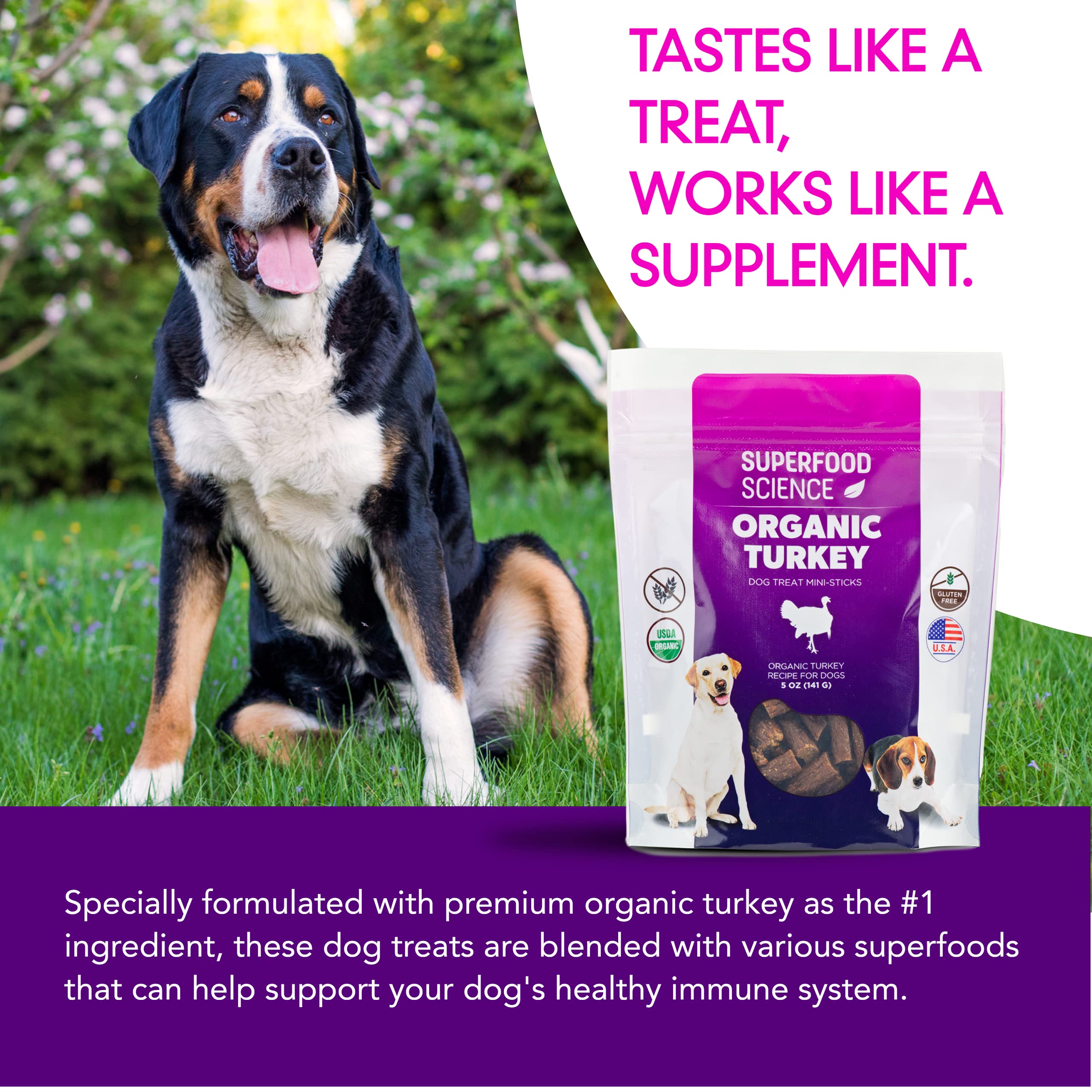 Organic Dog Treats for Small, Medium & Large Dogs - All-Natural Turkey Training Treats for Puppies & Adult Dogs, Grain-Free, Hyp
