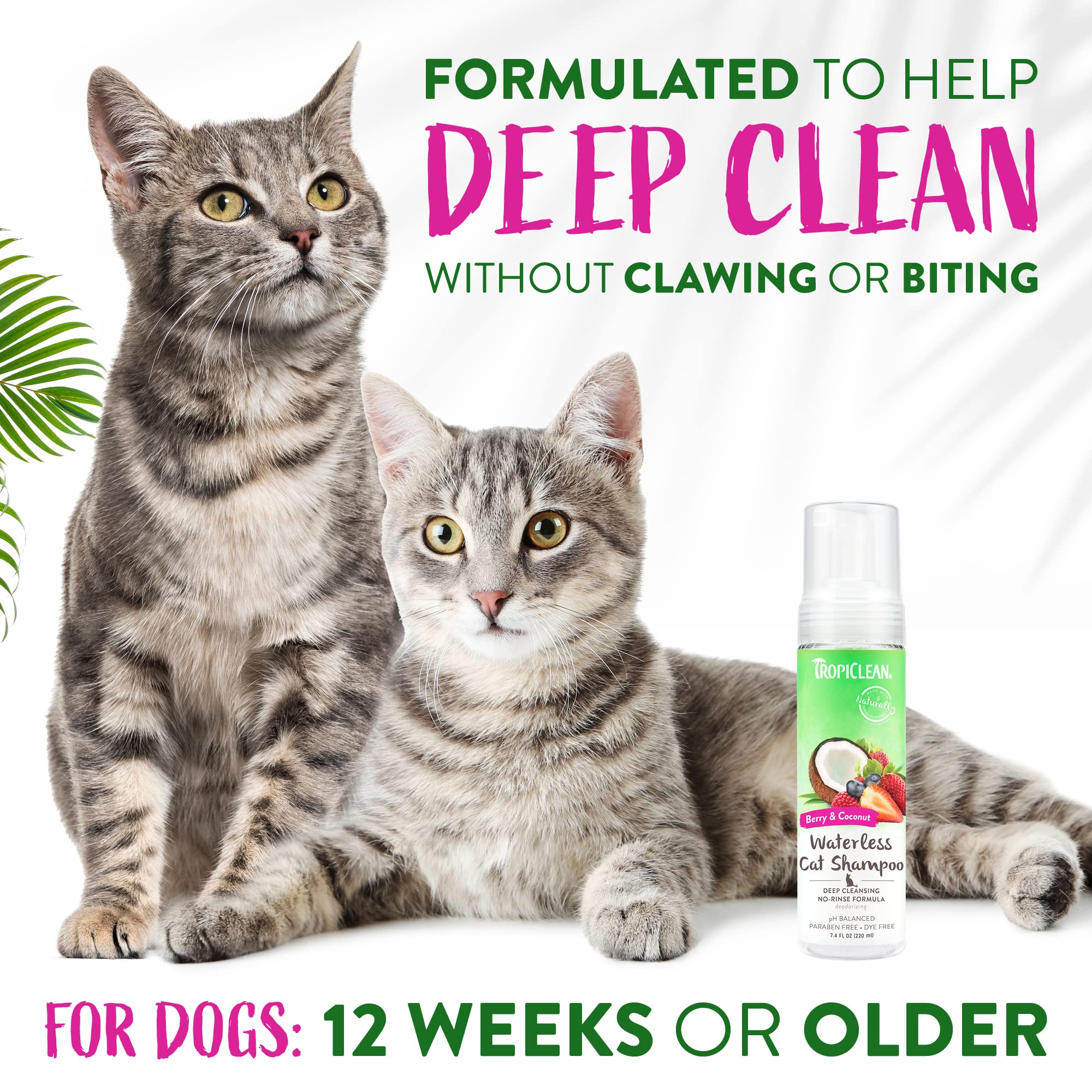 Tropiclean Berry & Coconut Waterless Cat Shampoo | Deep Cleansing Dry Shampoo For Cats | Natural Cat Shampoo Derived From Natura