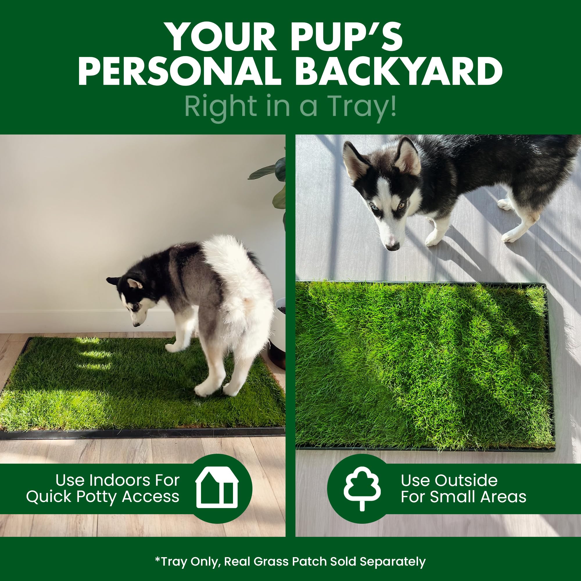 Fresh Patch Plastic Tray For Xl Real Grass Pee And Potty Training Pads For Large Dogs And Multi-Dog Households - 4 Ft X 2 Ft Mul