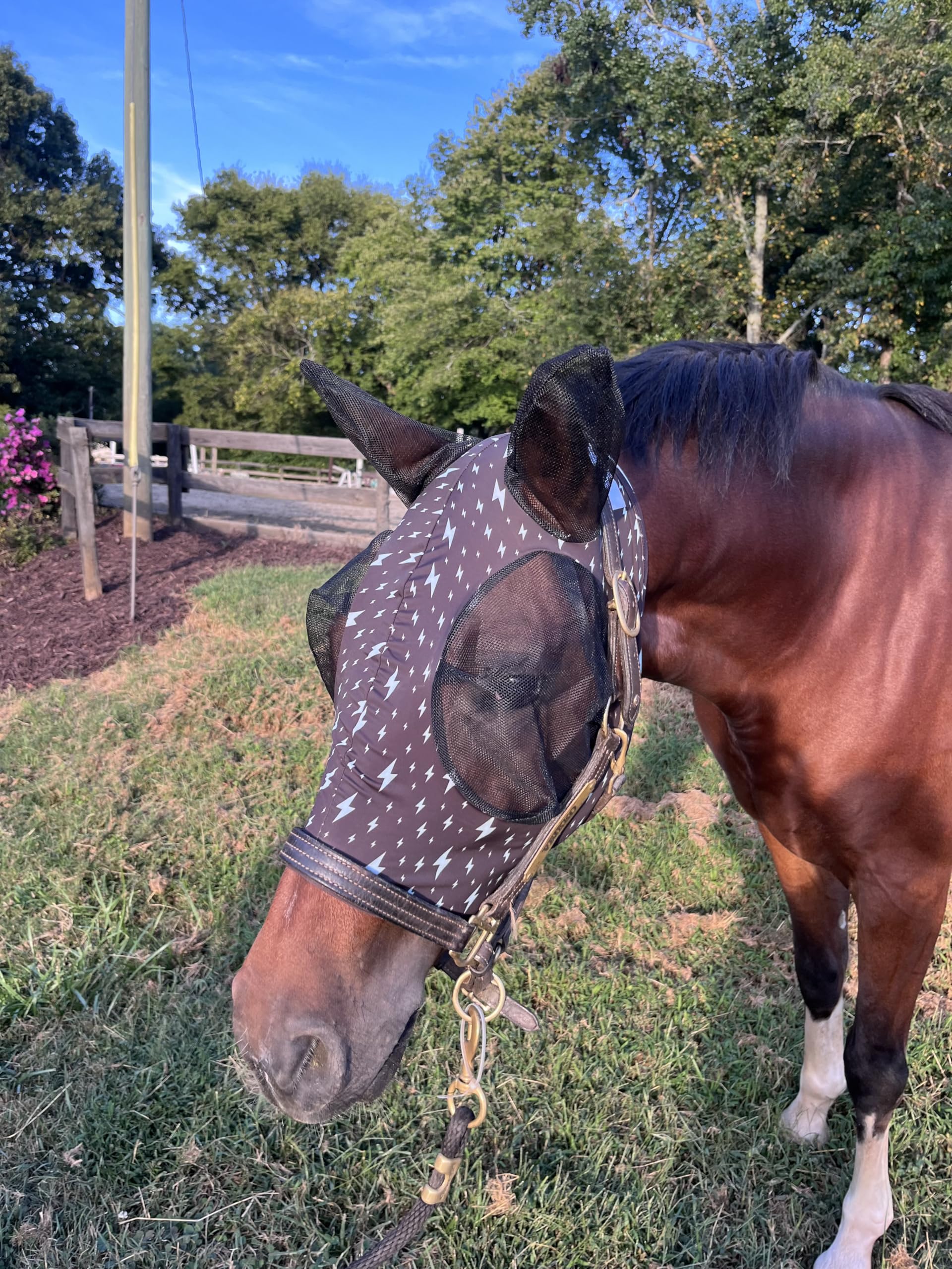 Stretchy Horse Fly Mask with Ears Comfort Fit Mesh Trail Pasture Sun UV Protection