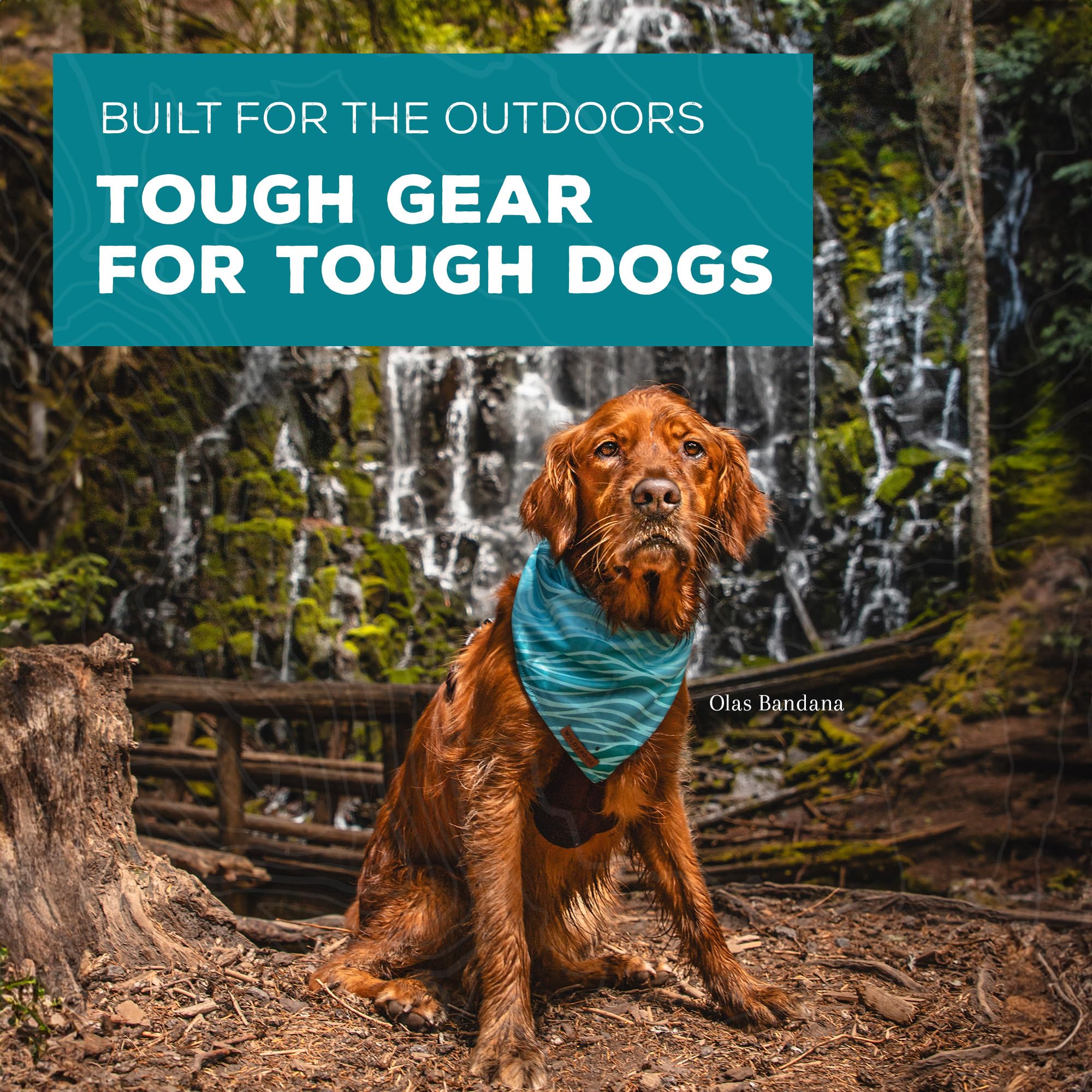 Wilderdog Dog Bandana With Lightweight Quick Drying Poly-Blend Mesh Material In Olive