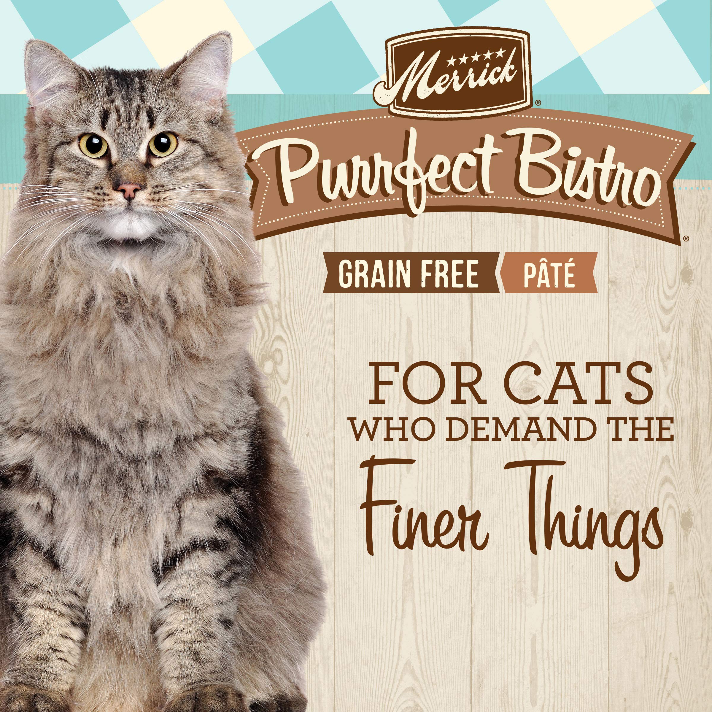Merrick Purrfect Bistro Grain Free Premium Soft Canned Pate Adult Wet Cat Food, High Protein Salmon Recipe - (Pack of 24) 5.5 oz