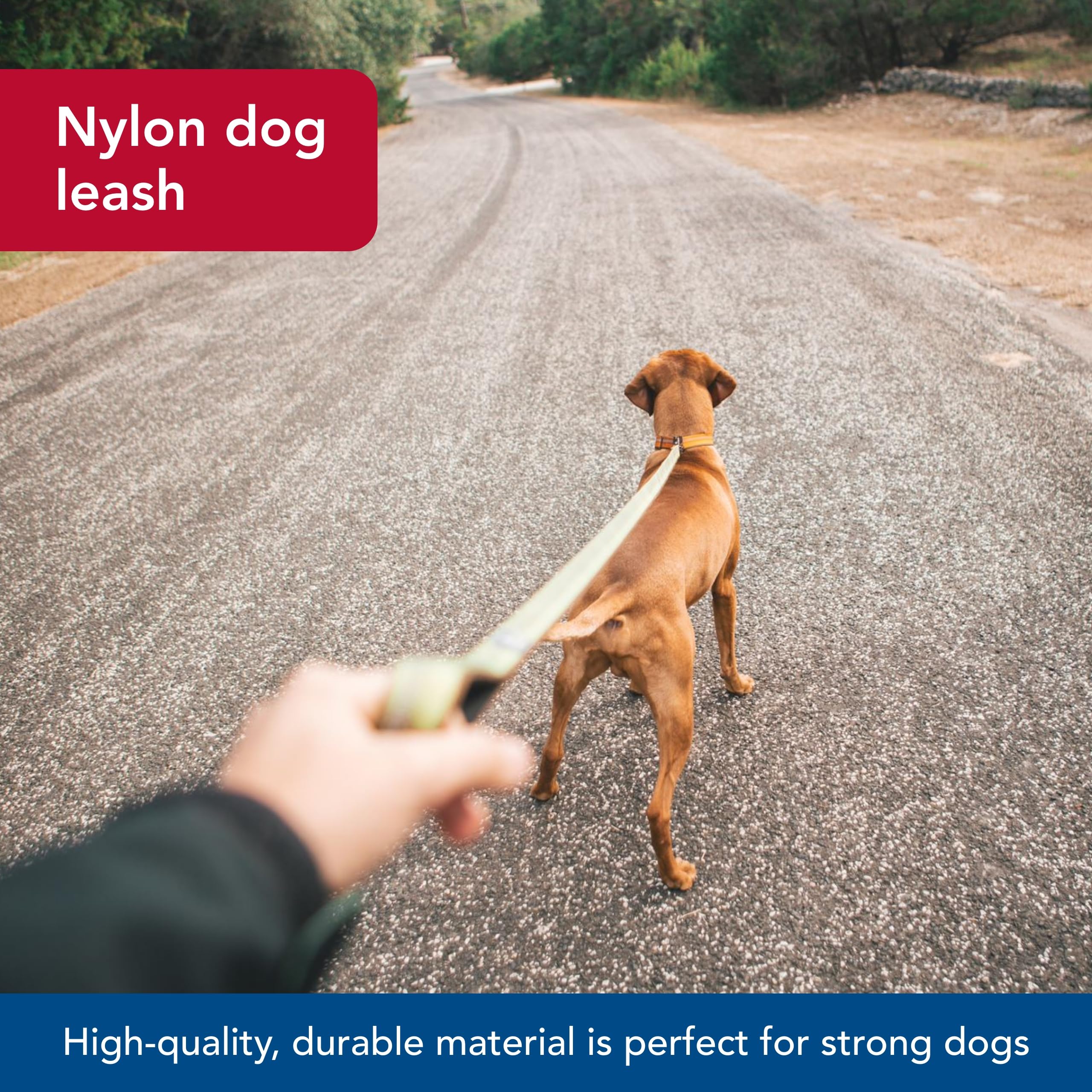 Coastal - K-9 Explorer - Reflective Dog Leash With Scissor Snap, Rosebud, 5/8'' X 6