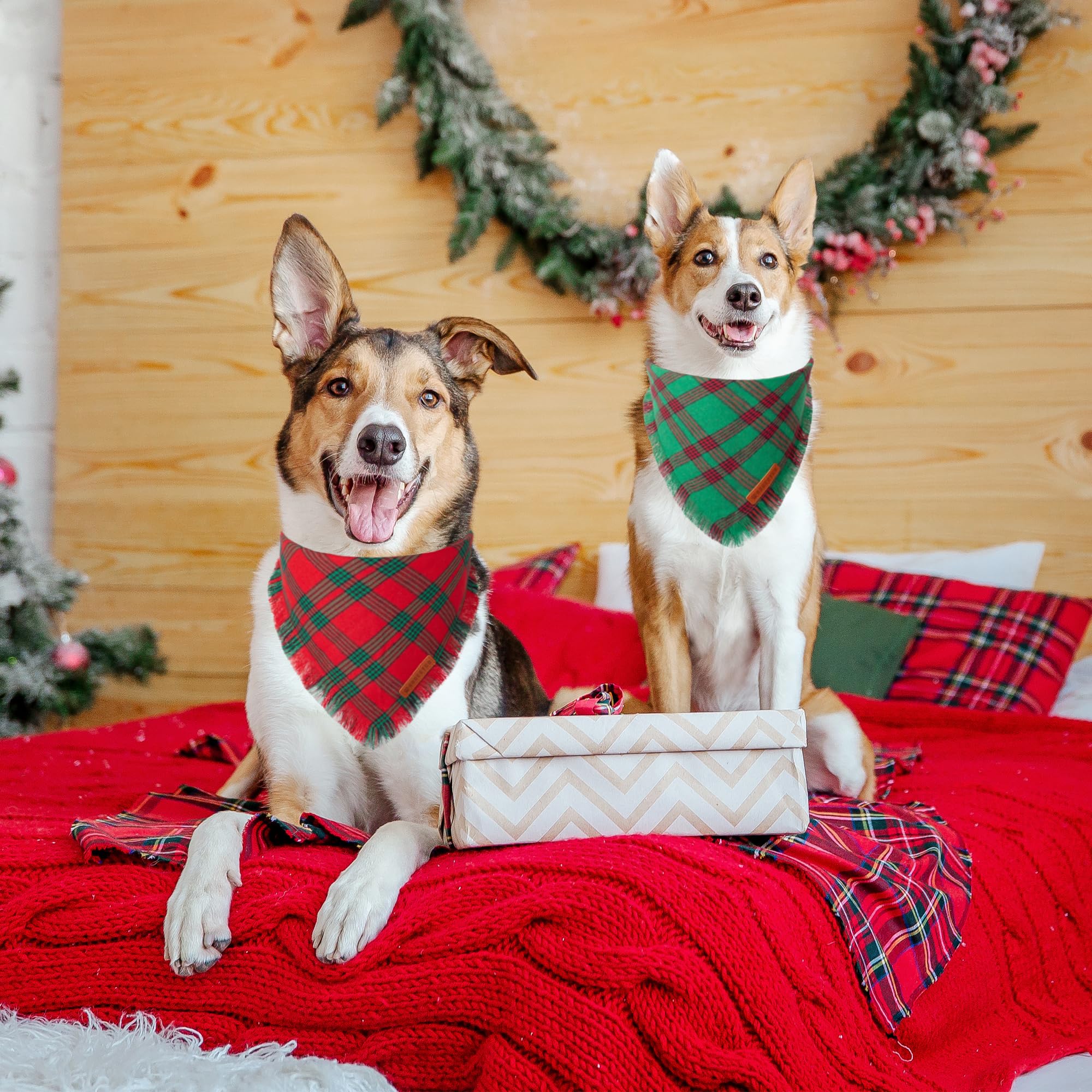 Adoggygo Christmas Dog Bandanas With Tassels, Red Green Plaid Dog Christmas Scarf Bib, Multiple Sizes, Christmas Bandana For Medium Large Dogs Pets (Large)