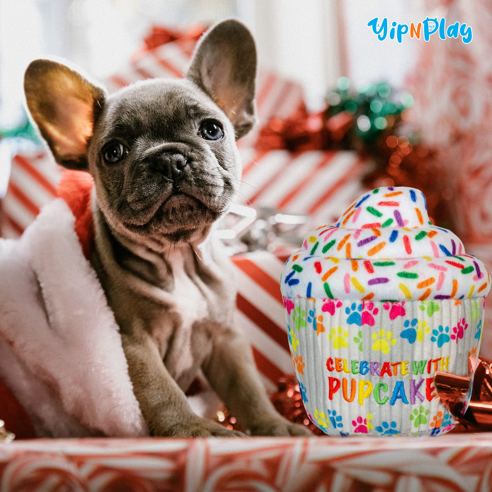 Yipnplay Pupcakes – Plush Toys For Dogs In A Variety Of Fun Cupcake Designs And Styles Made From Soft Materials, Including Corduroy, With Built-In Squeaker And Embroidering For Playtime And Comfort