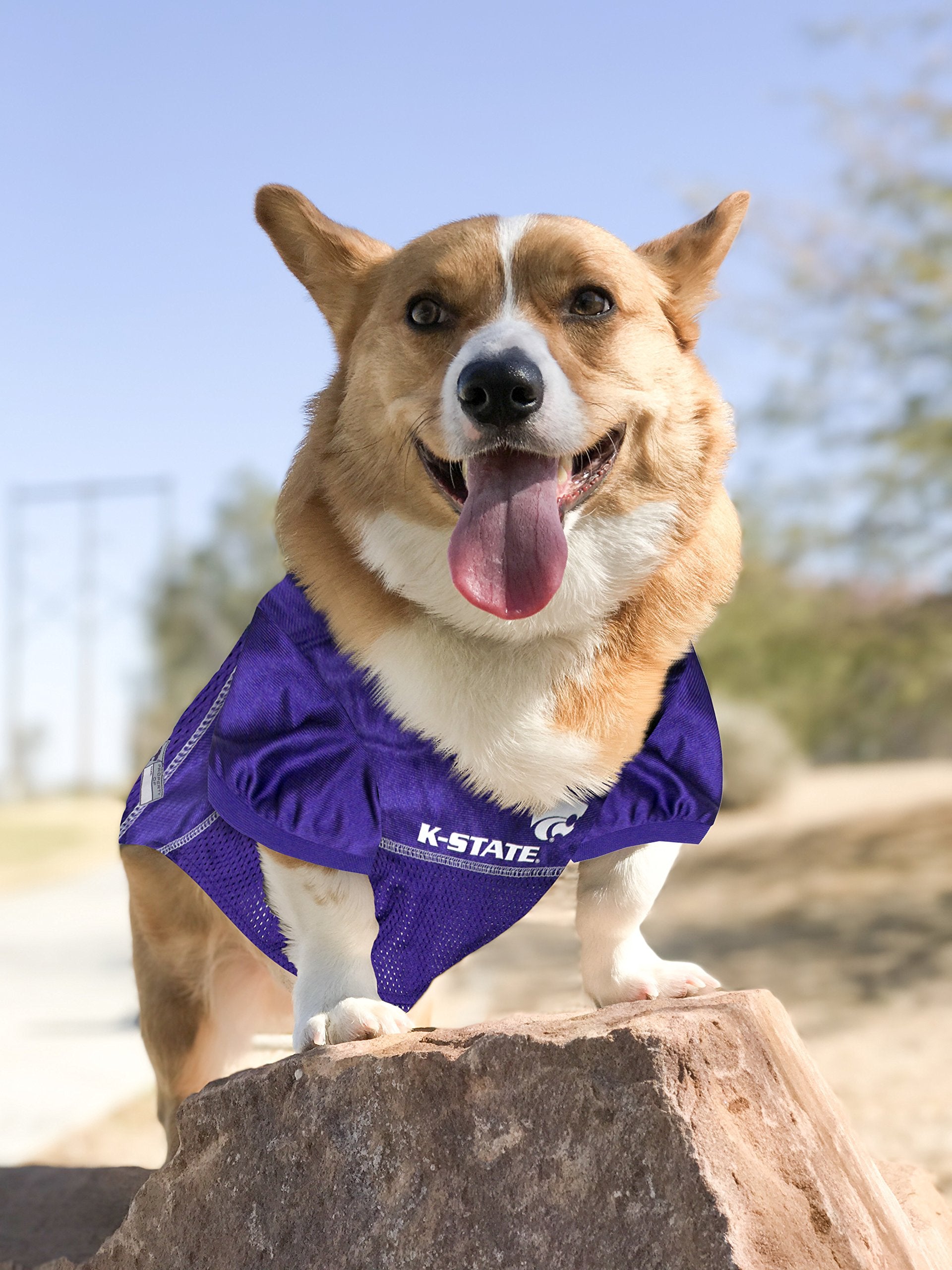 Pets First NCAA College Kansas State Wildcats Mesh Jersey for DOGS & CATS, Large. Licensed Dog Jersey with your Favorite Footbal