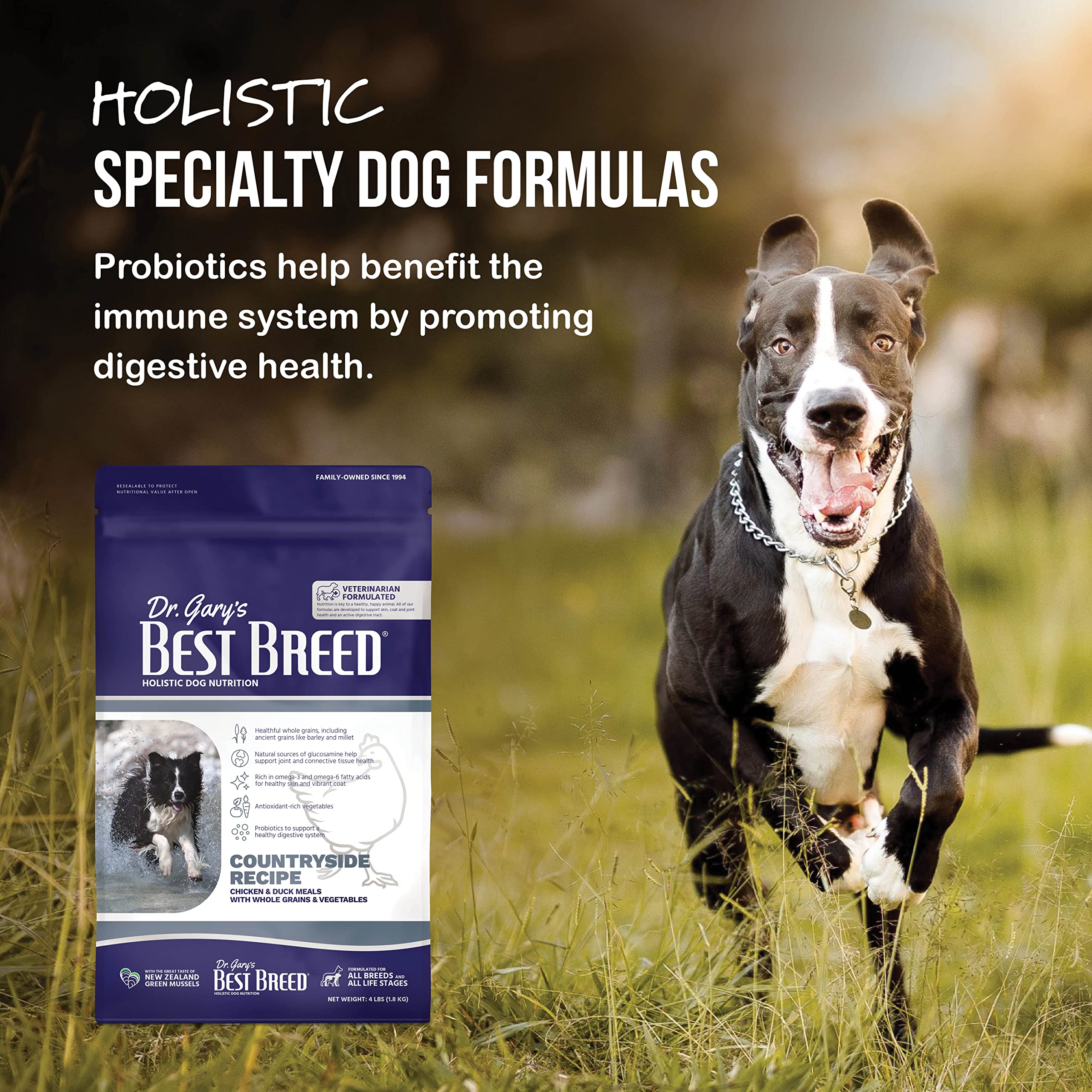 Best Breed Dr. Garys Countryside Recipe Slow-Cooked in USA, Natural Dry Dog Food for All Breeds and Sizes, 4lbs.