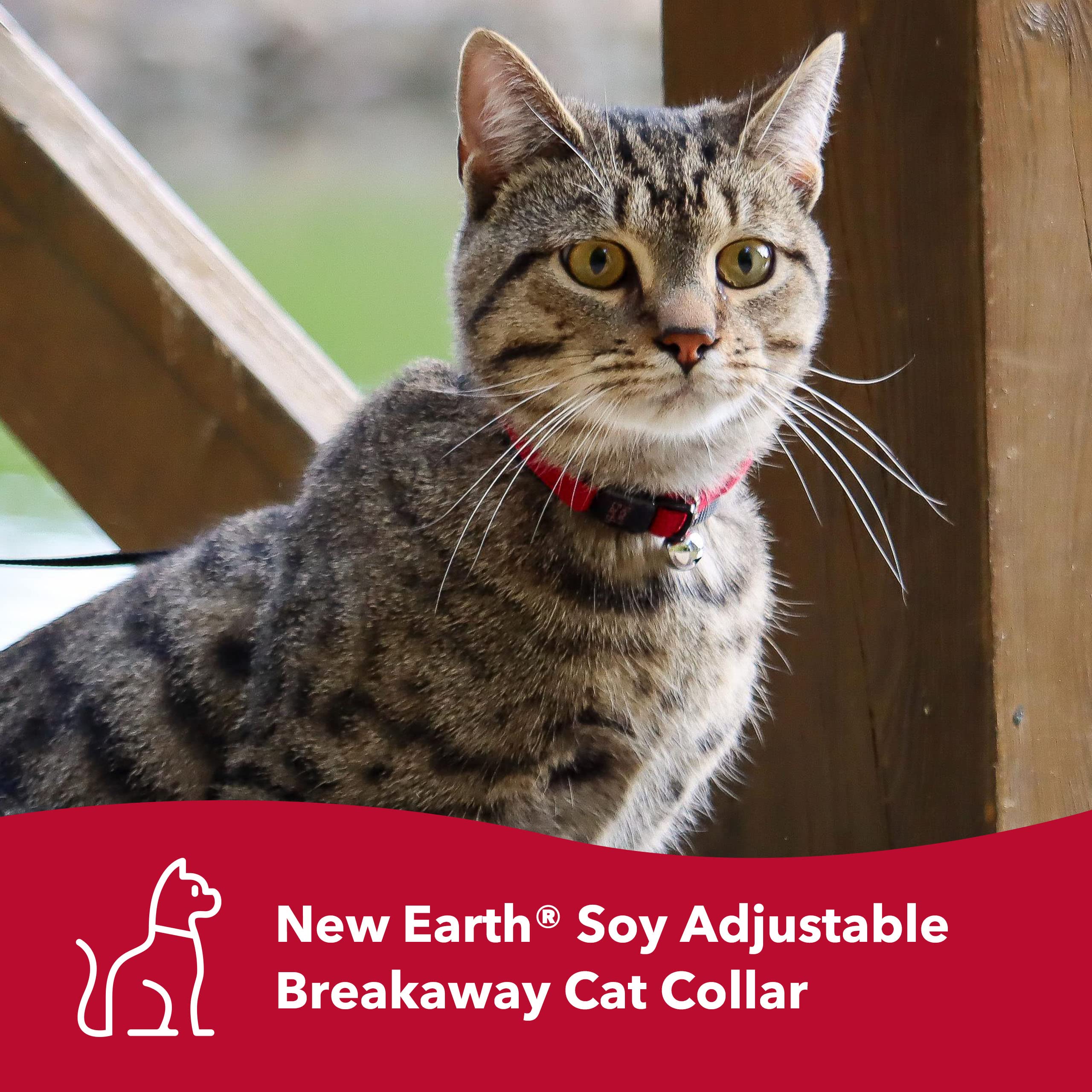 Coastal Pet New Earth Soy Adjustable Breakaway Cat Collar - Eco-Friendly, Odor-Resistant And Adjustable Cat Collar, Rose, 3/8' X 08'-12'