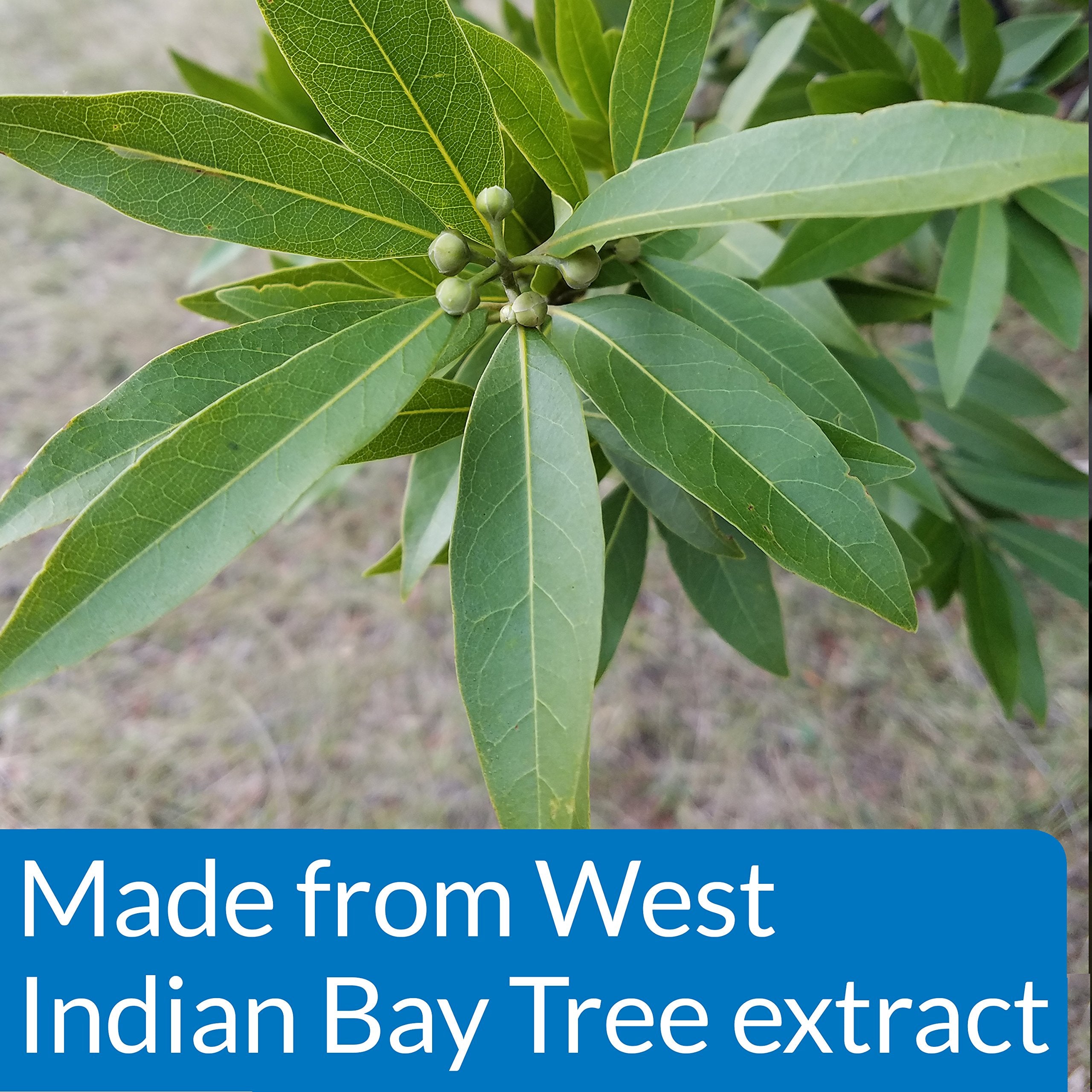 API PIMAFIX Freshwater and Saltwater Fish Remedy 64-Ounce Bottle