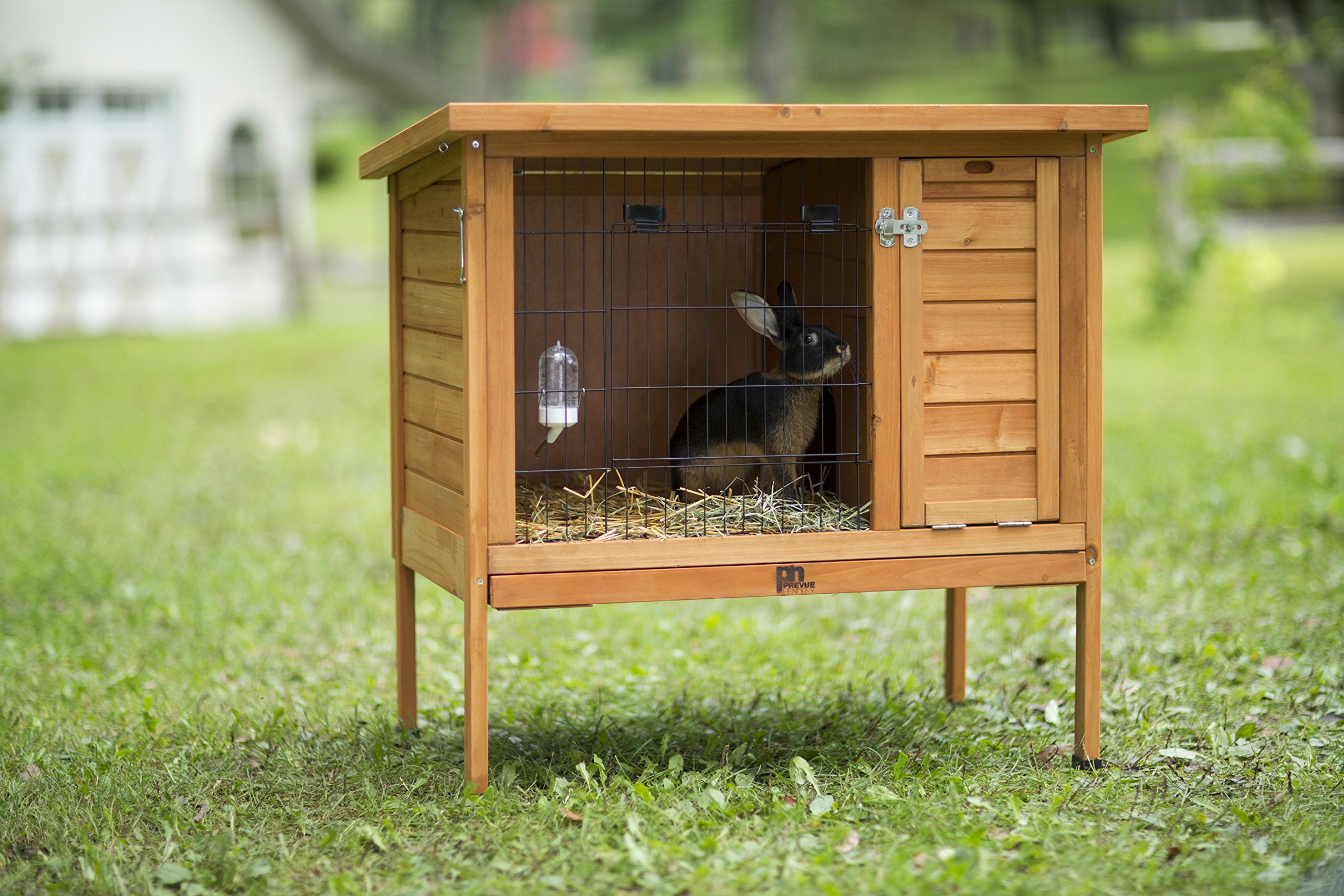 Prevue Hendryx, Stained Wood Prevue Pet Products Small 460 Rabbit Hutch, 36.0' L X 24.0' W X 35.5' H