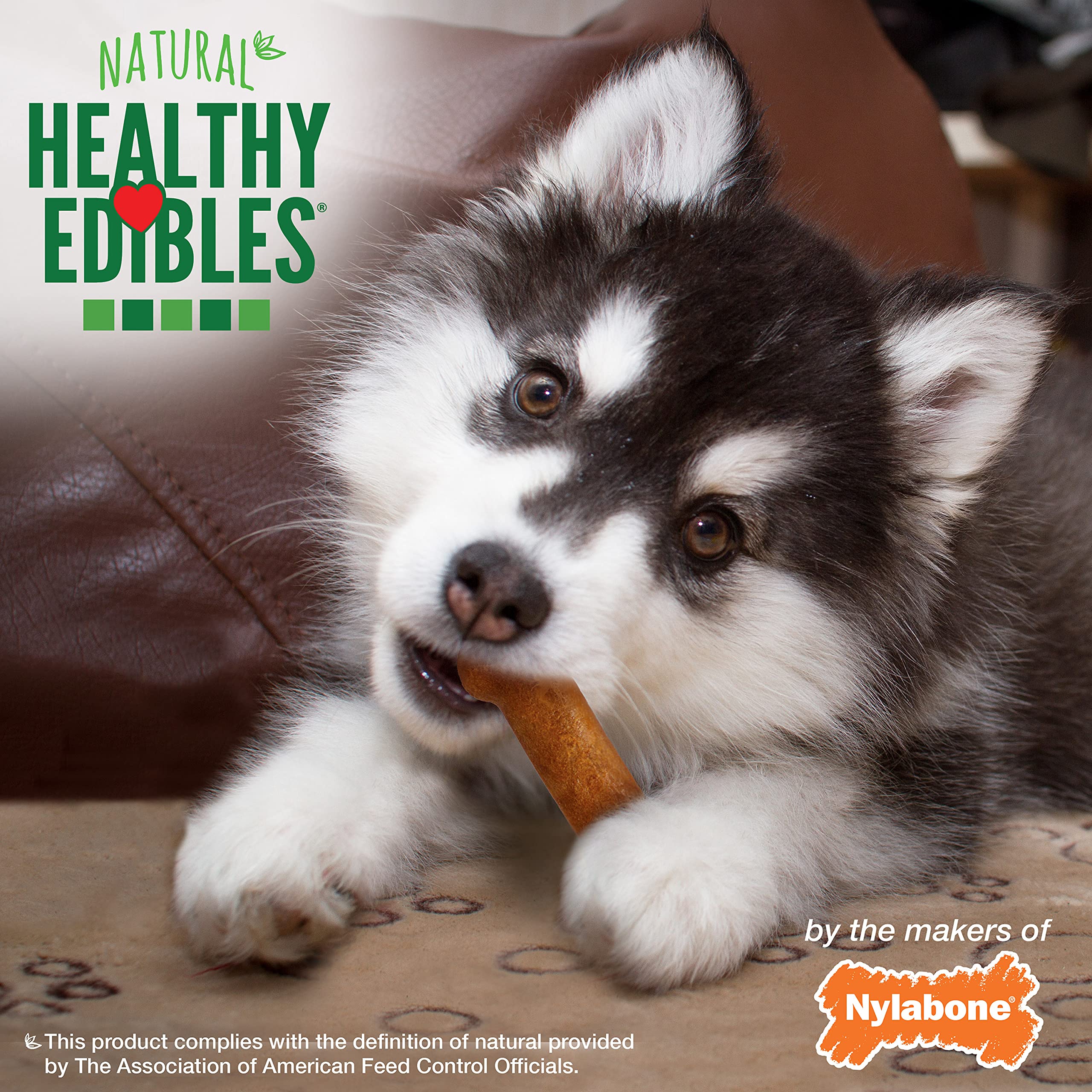 Nylabone Healthy Edibles Natural Puppy Treats - Long-Lasting Dog Treats - Puppy Supplies - Turkey & Sweet Potato Flavor, X-Small