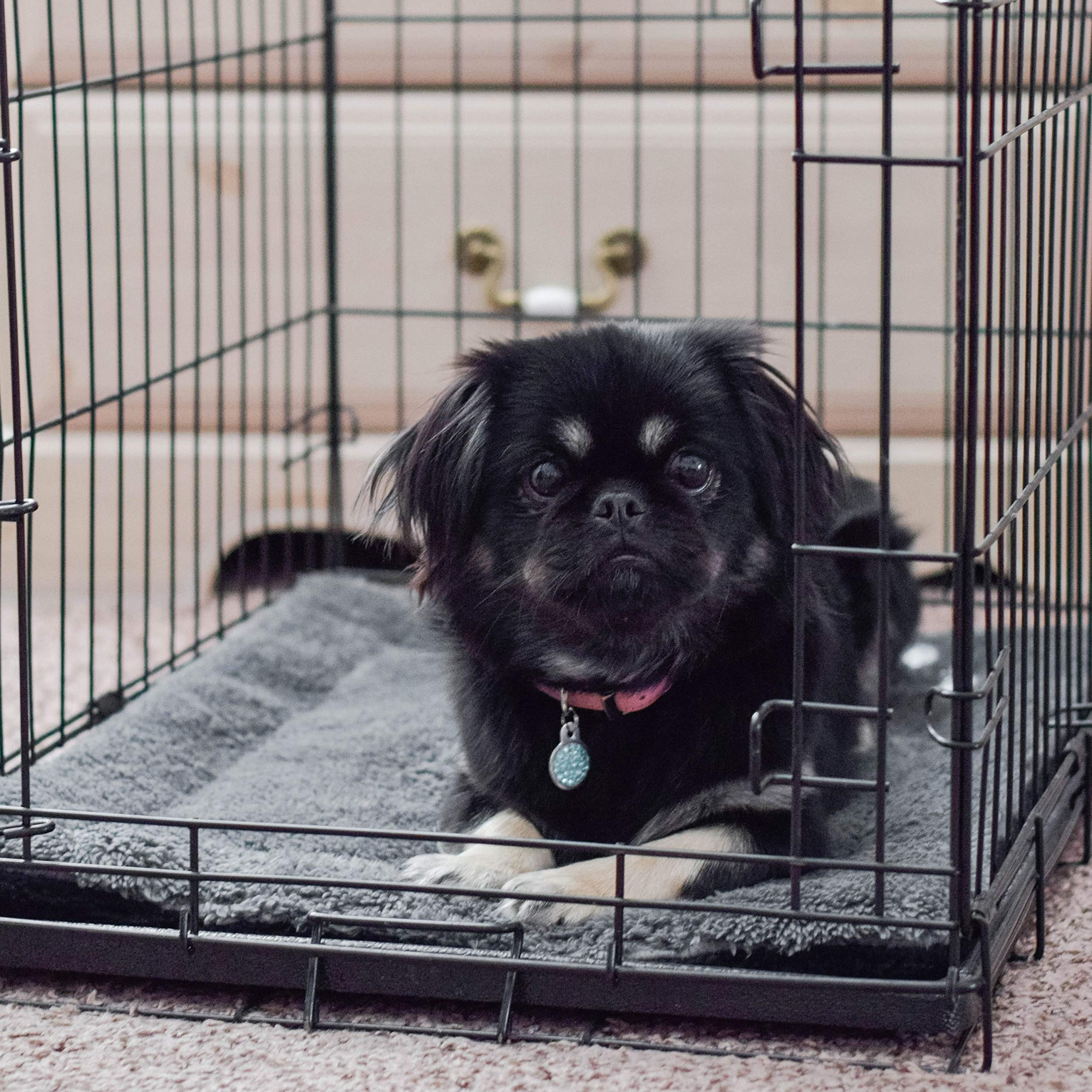 K&H Pet Products Self-Warming Cat Bed Pad, Self-Heating Thermal Cat And Dog Bed Mat, Cat Warmer Mat For Feral And Indoor Cats, Gray/ Black 21 X 17 Inches