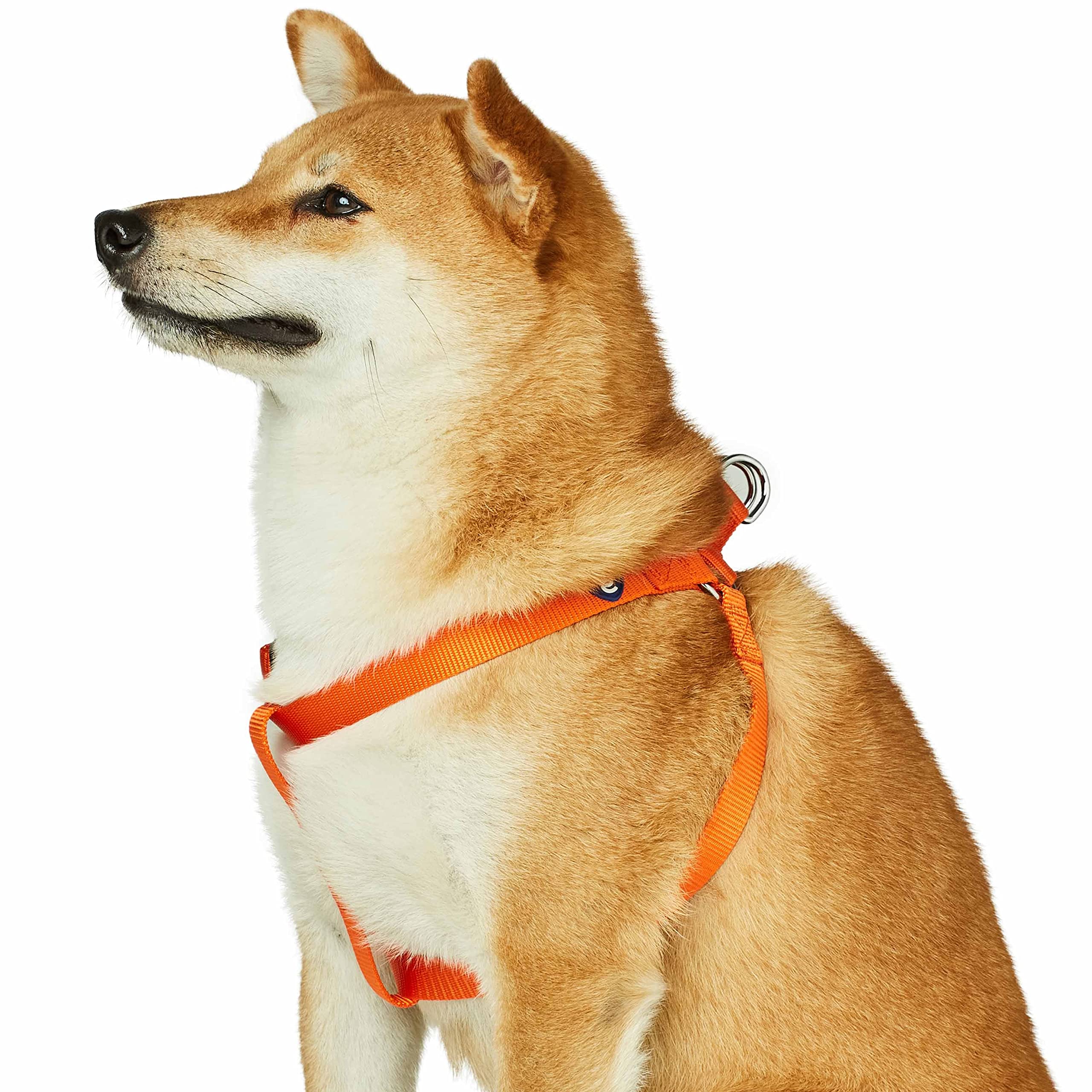 Blueberry Pet Essentials 2022 New Classic Durable Solid Nylon Step-In Dog Harness, Chest Girth 26'' - 39'', Orange Vermilion, La