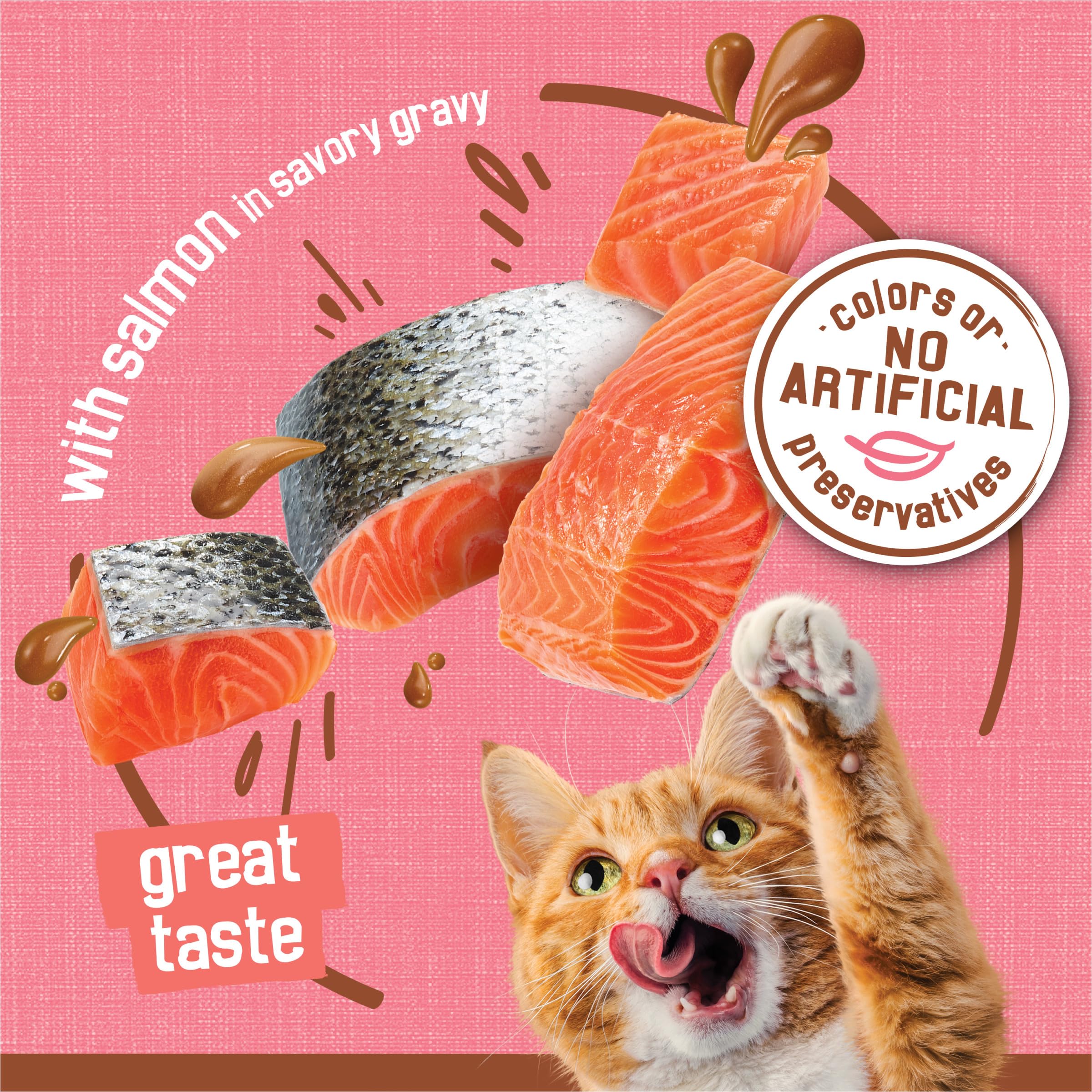 Purina Friskies Extra Gravy Wet Cat Food Chunky With Salmon in Savory Gravy - (Pack of 24) 5.5 oz. Cans