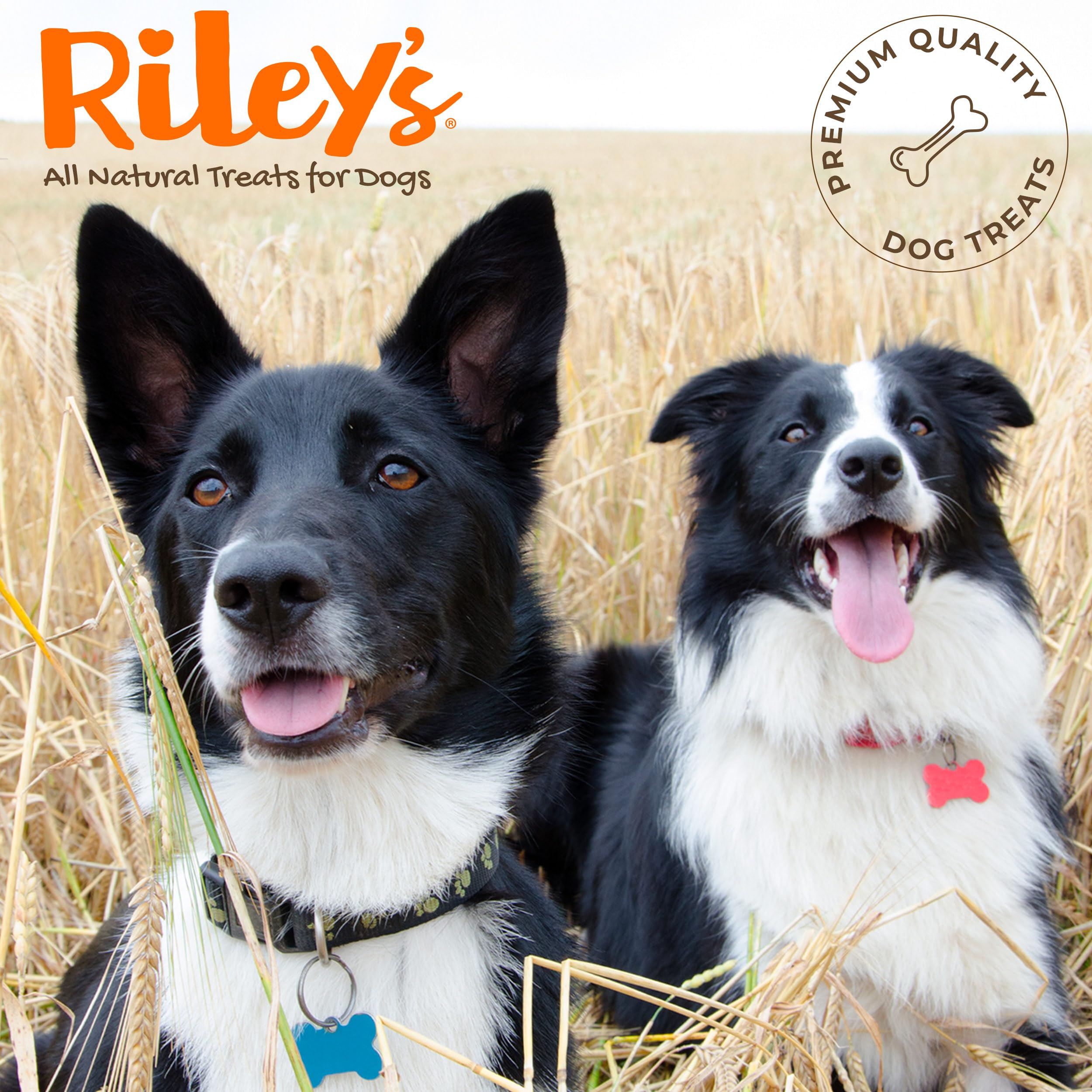 Rileys Tasty Apple Dog Biscuits - Crunchy Dog Treats for Small Dogs - Apple Treats for Dogs - (5oz, Small)