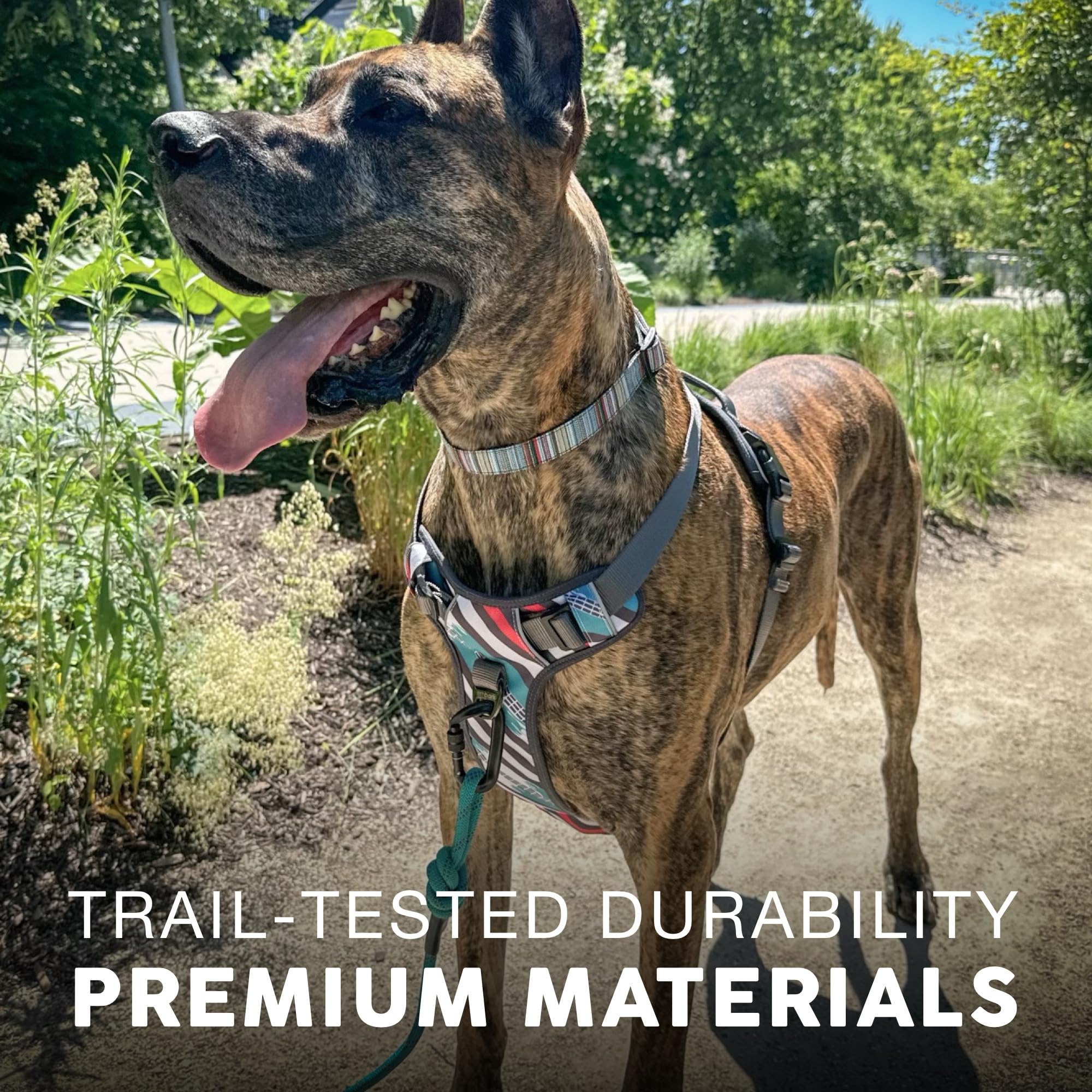 Embark Adventure Dog Harness, Reflective Trim Xl Dog Harness For Extra Large Dogs No Pull - Military Grade Nylon, 2 Leash Clips