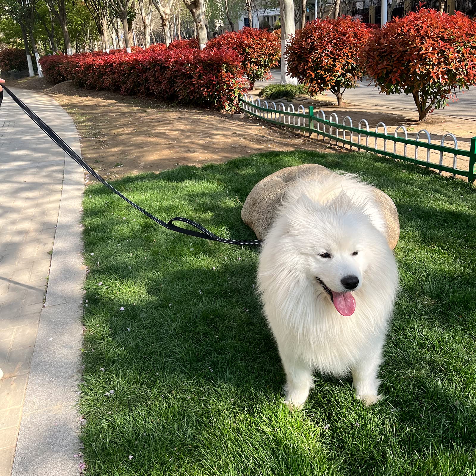 Joytale Dog Leash Heavy Duty For Large Dogs That Pull, Double Handle For Traffic Control, Double-Sided Reflective Leashes For Large Medium Dogs Night Safety, 6Ft, Black