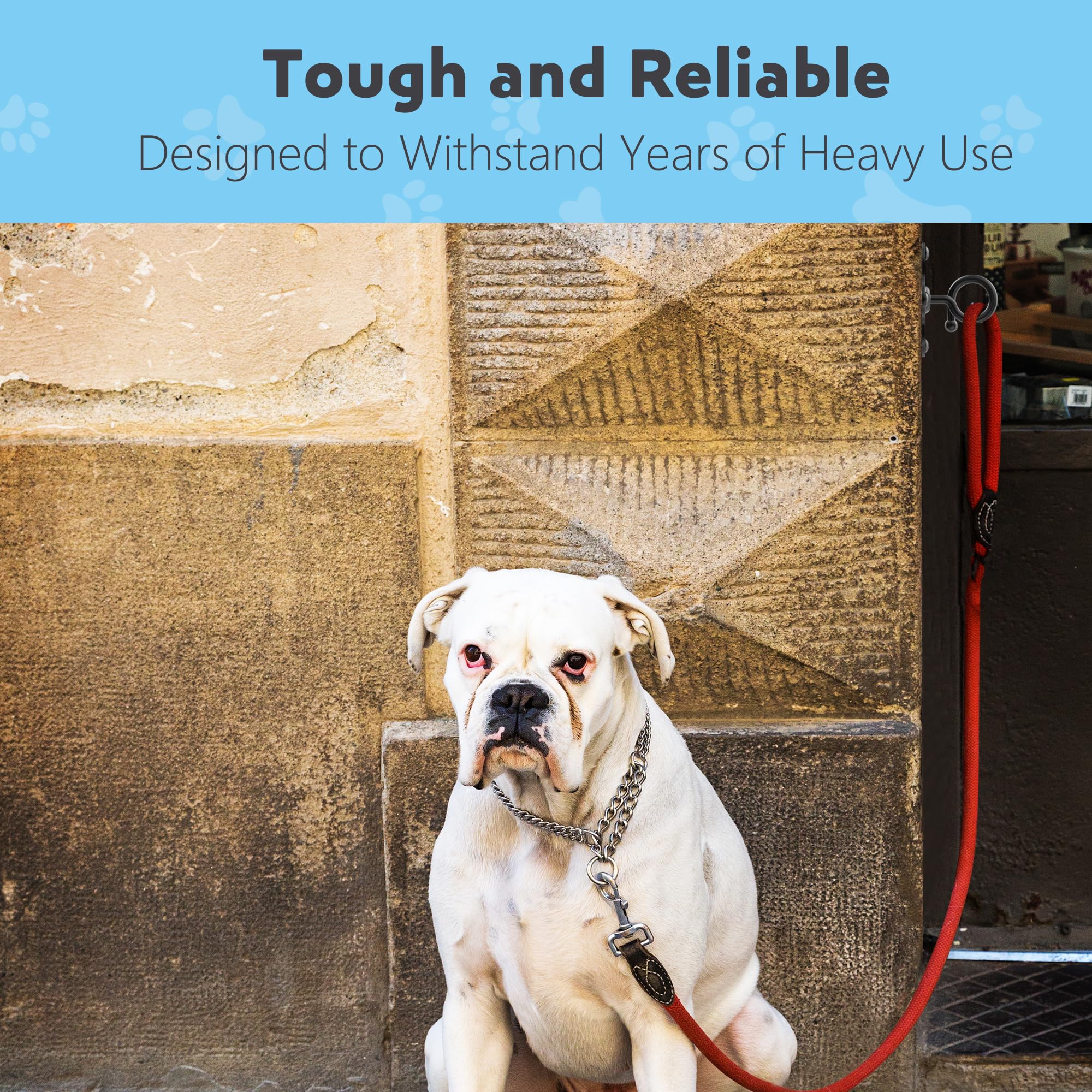 Tombaby Pet Leash Wall Hook - Durable Rust-Proof Stainless Steel Leash Holder For Dogs, Cats, And Other Pets, Indoor & Outdoor U