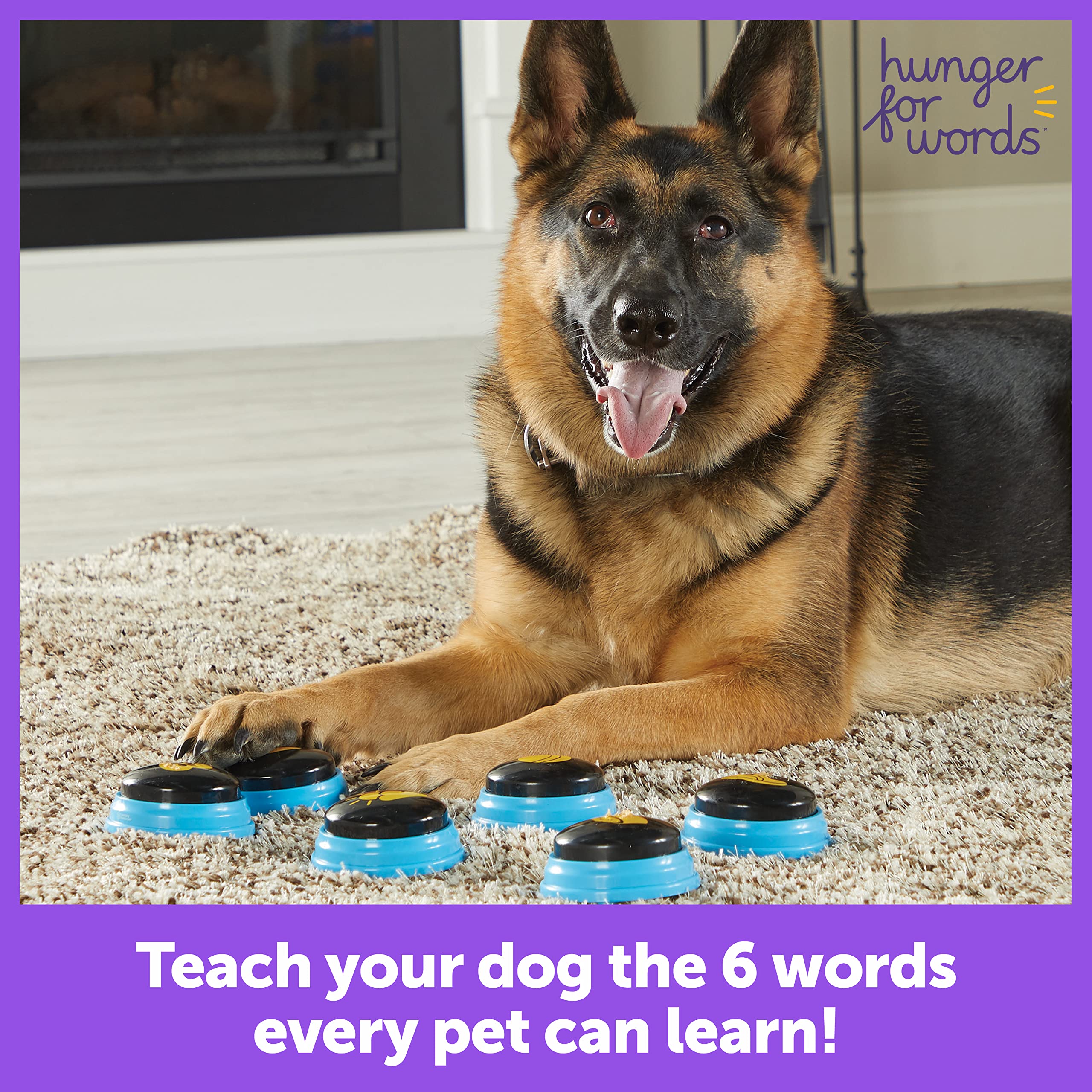 Hunger For Words Talking Pet Essential Words - 6 Piece Set Pre-Recorded Speech Buttons For Dogs, Dog Buttons For Communication