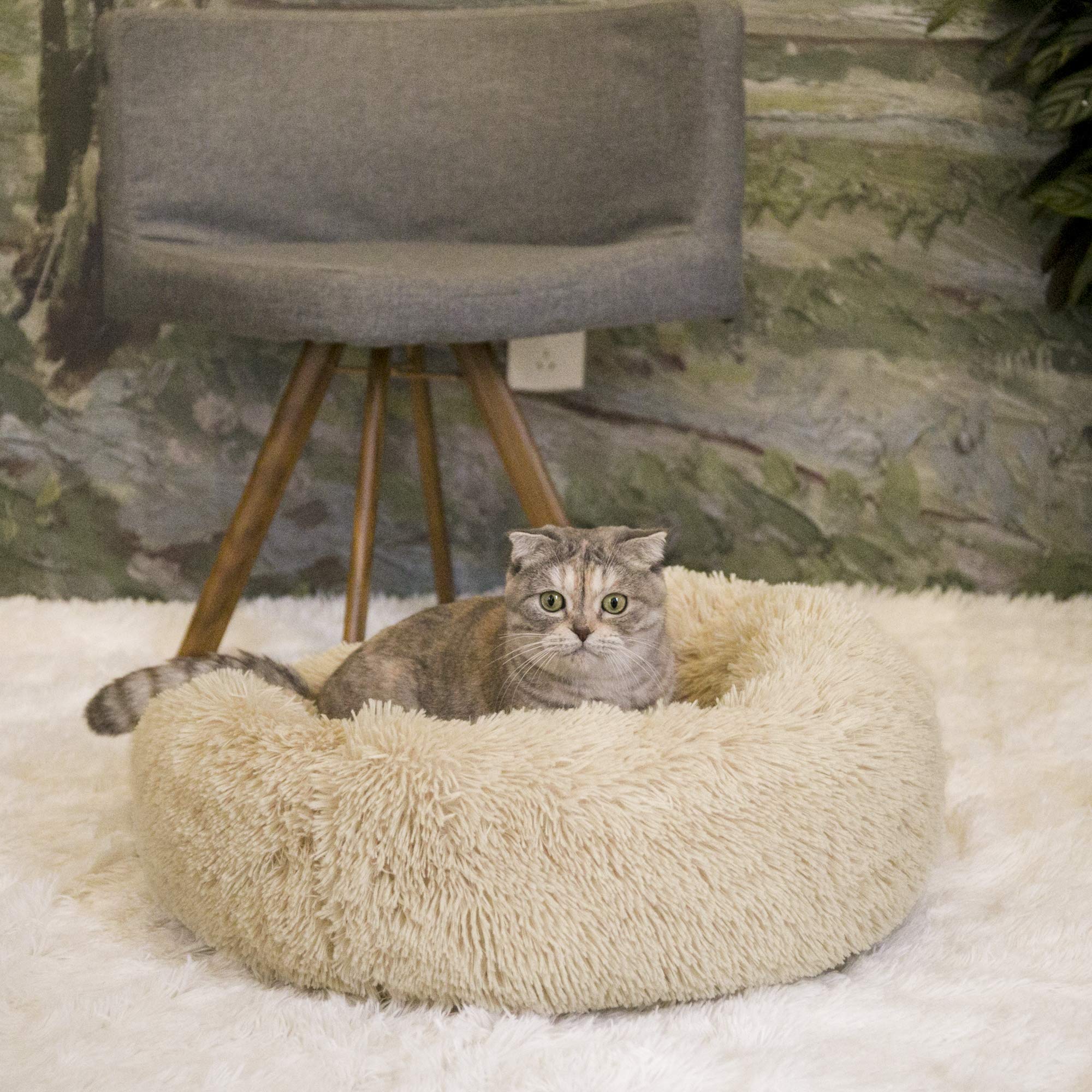 Qucey Calming Cat Beds for Indoor Cats, Anti Anxiety Round Fluffy Plush Faux Fur Cat Bed, Washable 23 inches Small Dog Bed & Cat