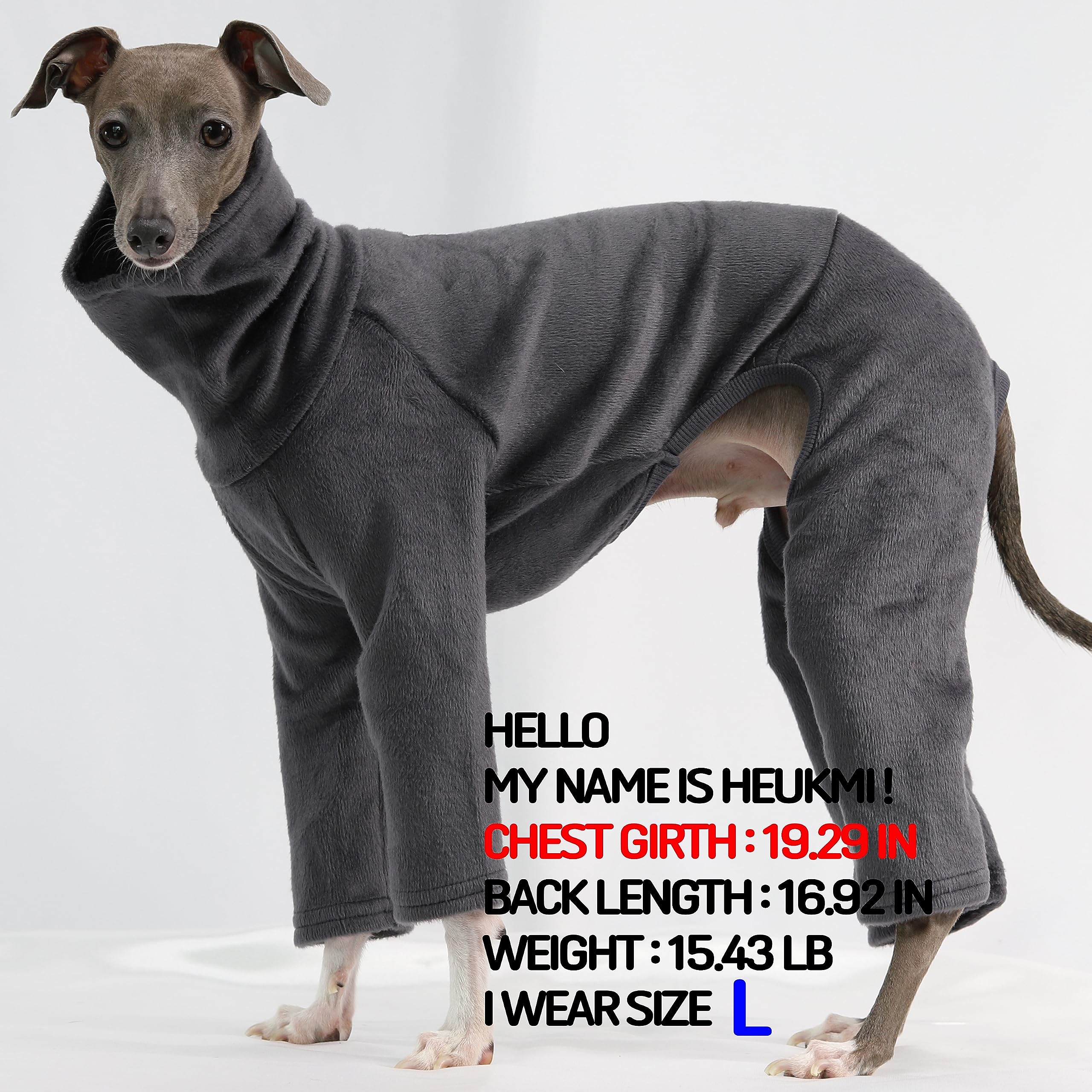 D Doggy Star Italian Greyhound Clothes Sweater Fleece Basic Onesie Whippet For Dog Turtleneck Outfits Coat (3Xl,Flce Charcoal)