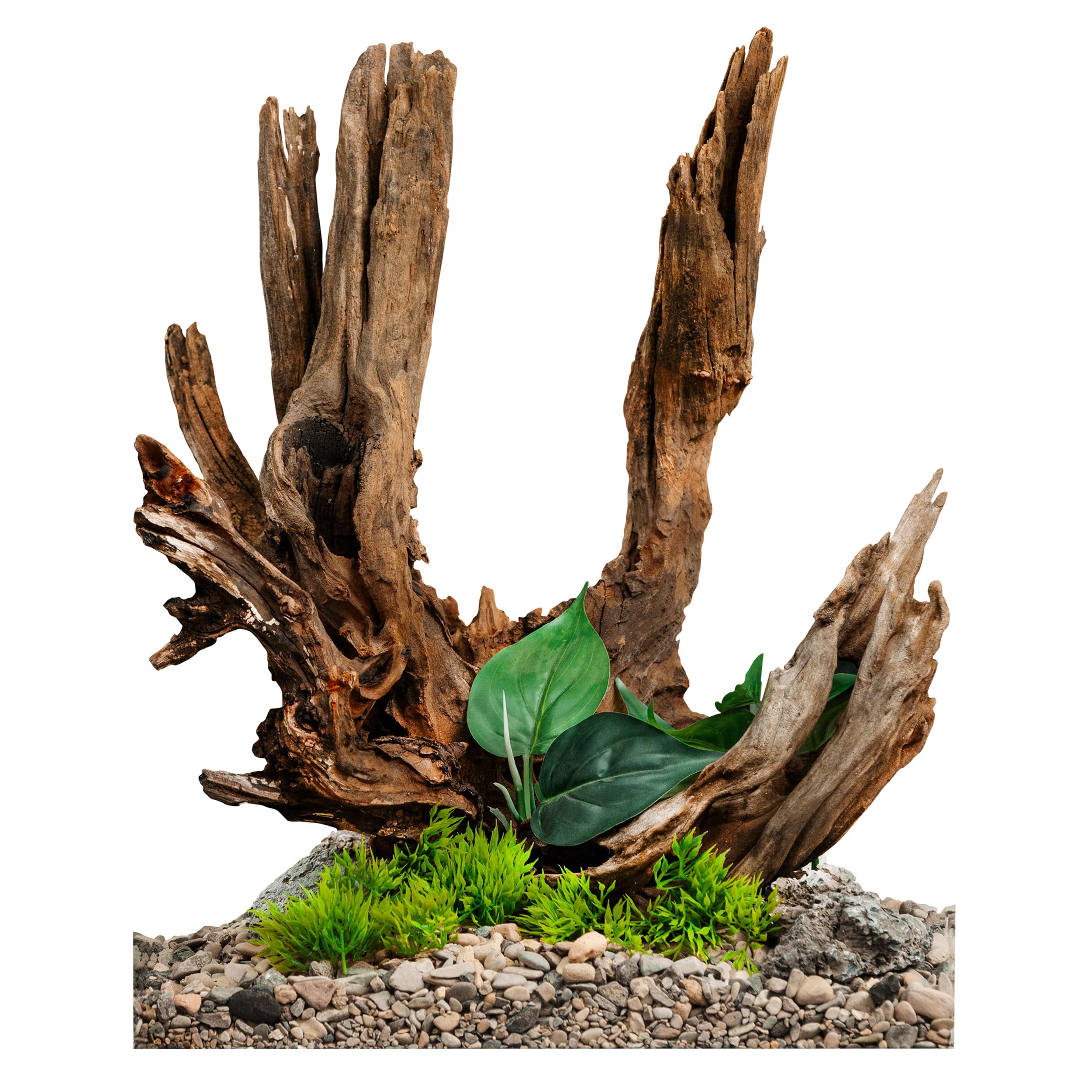 Penn-Plax Large Driftwood Décor Piece - For Aquarium And Terrarium Tanks – Salt And Freshwater