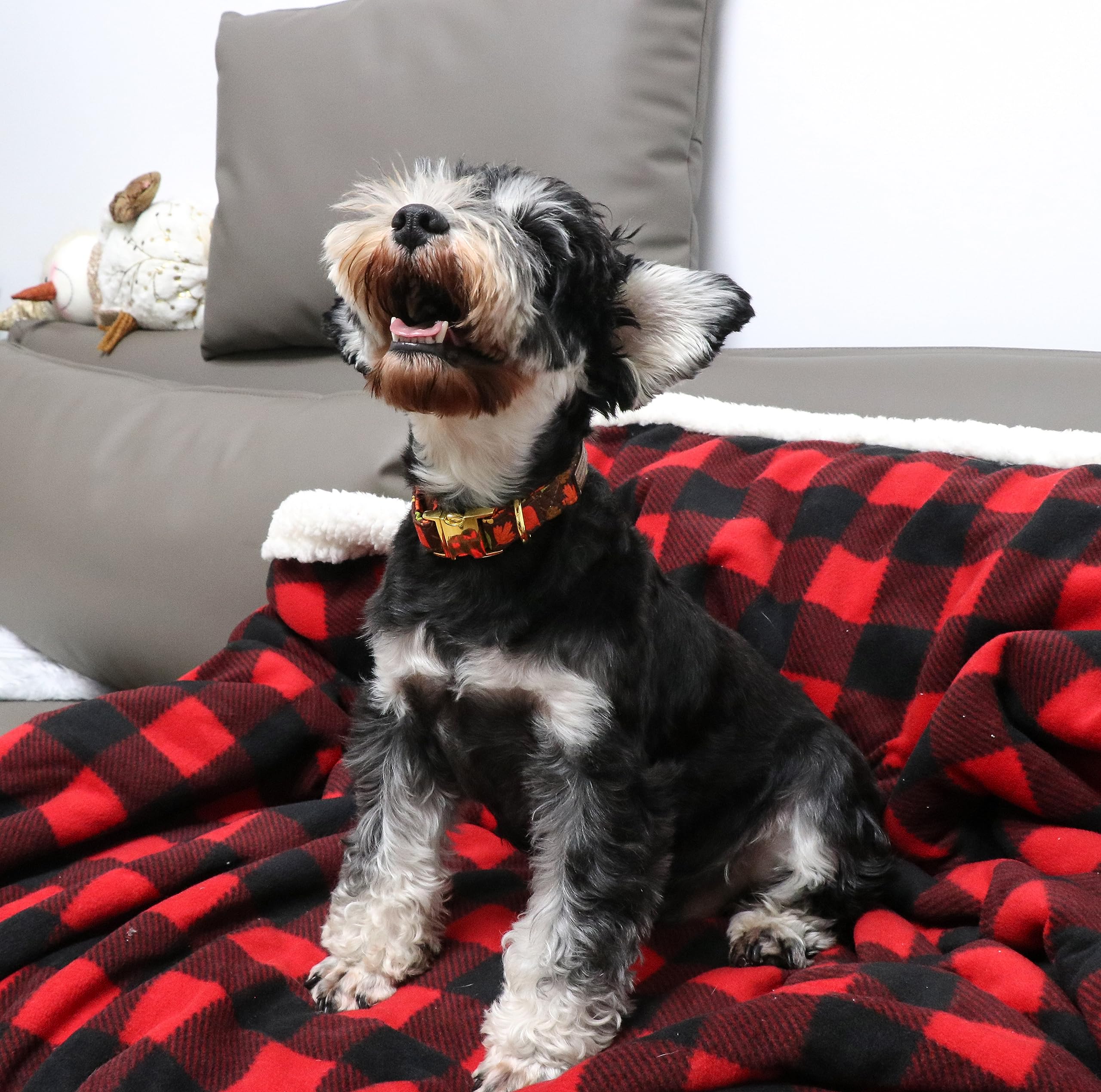 Unique Style Paws Dog Collar Metal Buckle Maple Leaves Collar Gift Durable Cute Collar For Small Medium Large Boys Girls Dogs