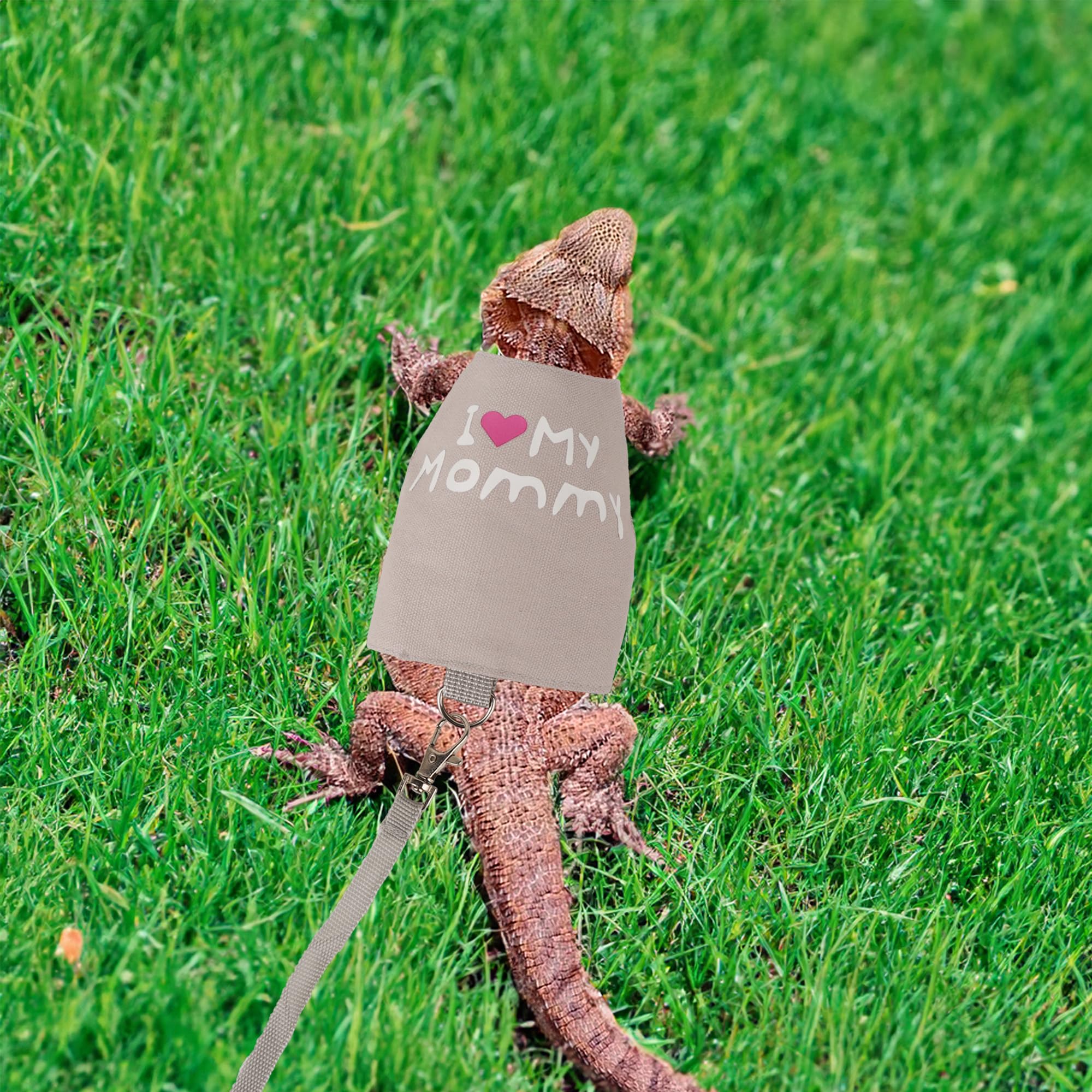 Adoggygo Mothers Day Bearded Dragon Harness Leash Set, Lizard Clothe Costume Adjustable Reptile Harness With 5Ft Leash For Beard