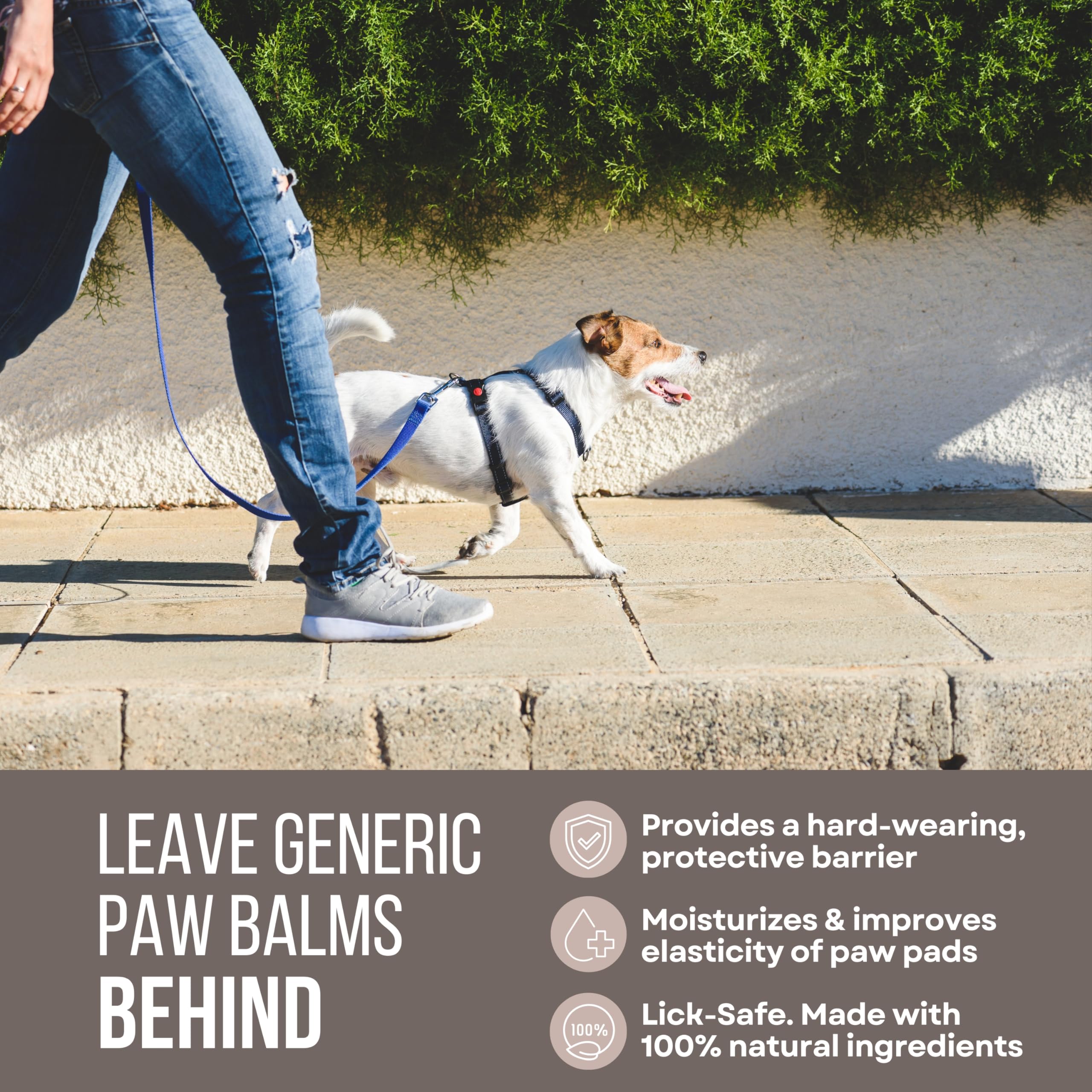 Rhino Wax - Dog Paw Street Wax And Healing Balm (2 Tubes + Cloth) - Protects Dogs Against Hot Pavement And Concrete - Pad Healer