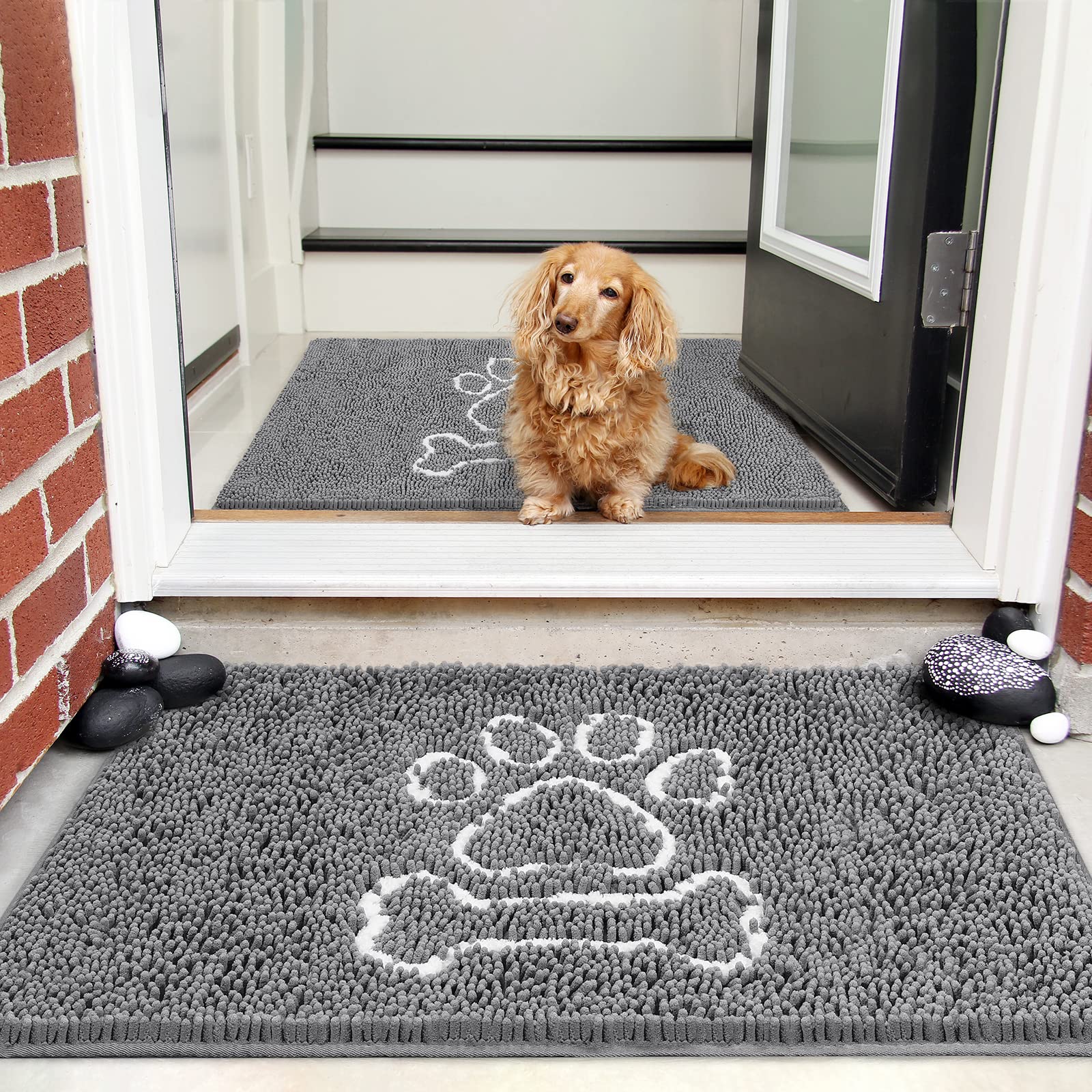 AROGAN Indoor Door Mat Entryway Rug Traps Mud and Water, Chenille Doormat for Muddy Shoes and Dog Paws, Machine Washable Doormat