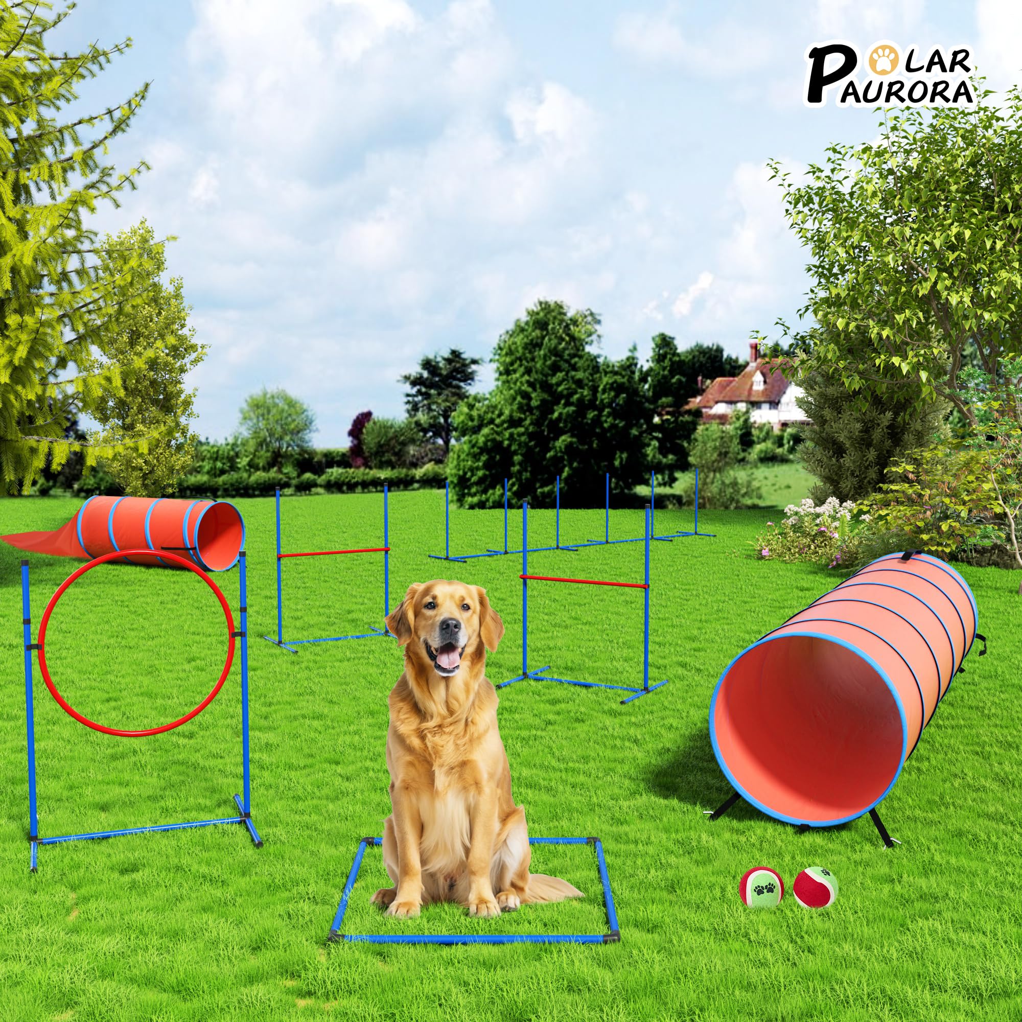 Dog Agility Training Equipment Set, Obstacle Courses Agility Training Kit For Puppy Includes 2 High Hurdles, Standard Tunnel, Bl