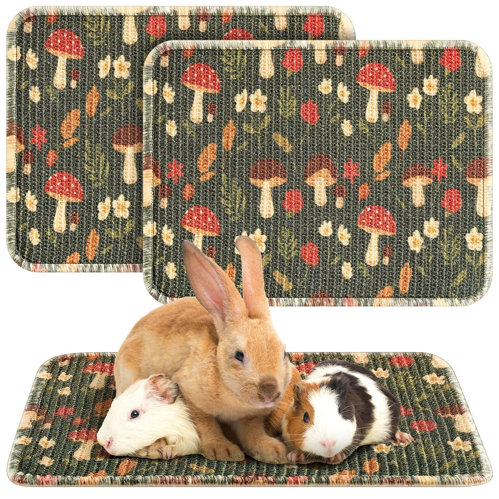 Drydiet 2 Pcs 16 x 12Rabbit Scratch Mat Natural Bunny Scratching Pad Claws and Teeth Care Rabbit Mats for Cages Chew Toys Bunn