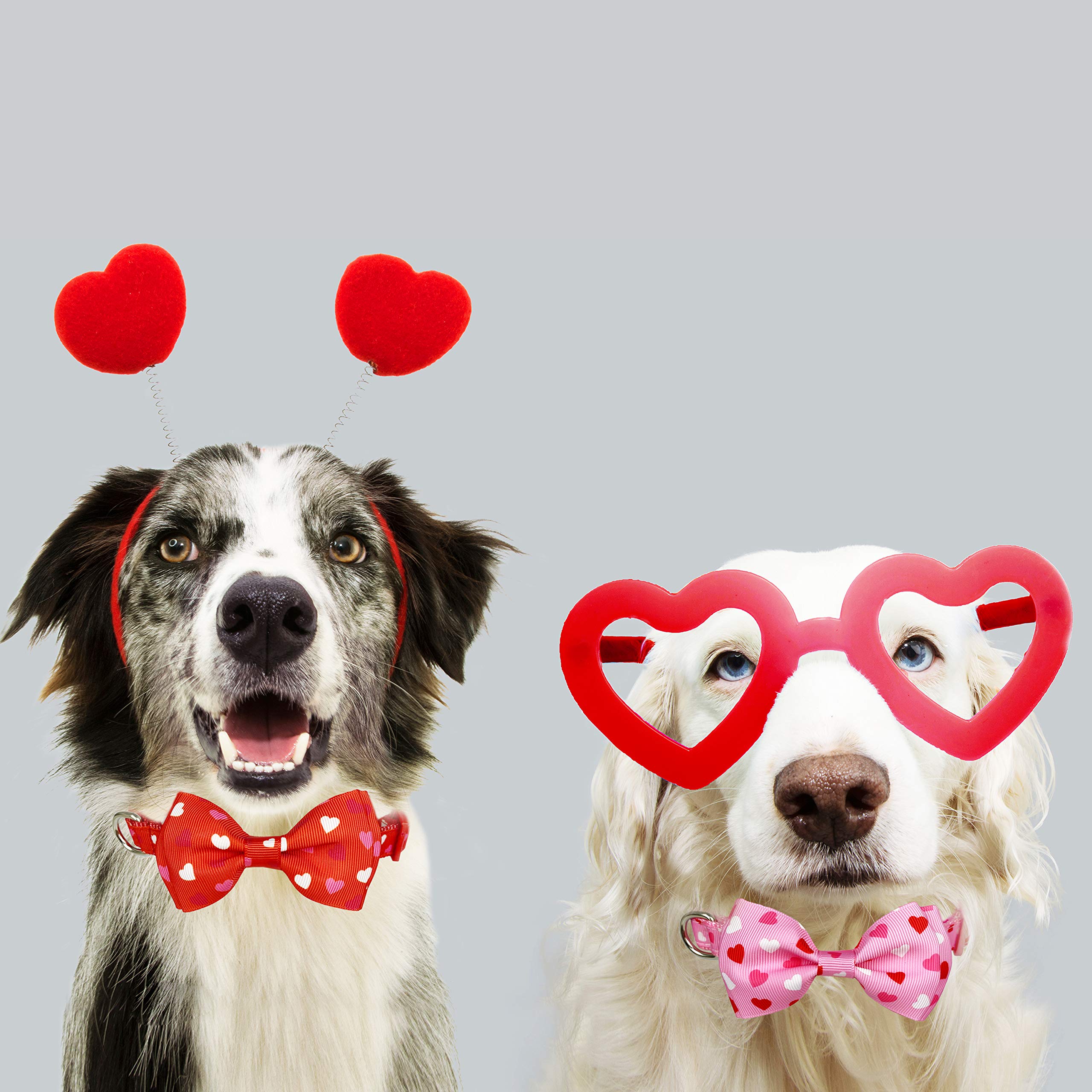 Valentine'S Dog Collar With Bow Tie, Holiday Cute 2 Pack Collar For Medium Large Dogs (Love Song, Large-(16-27') Neck * 1' Wide)