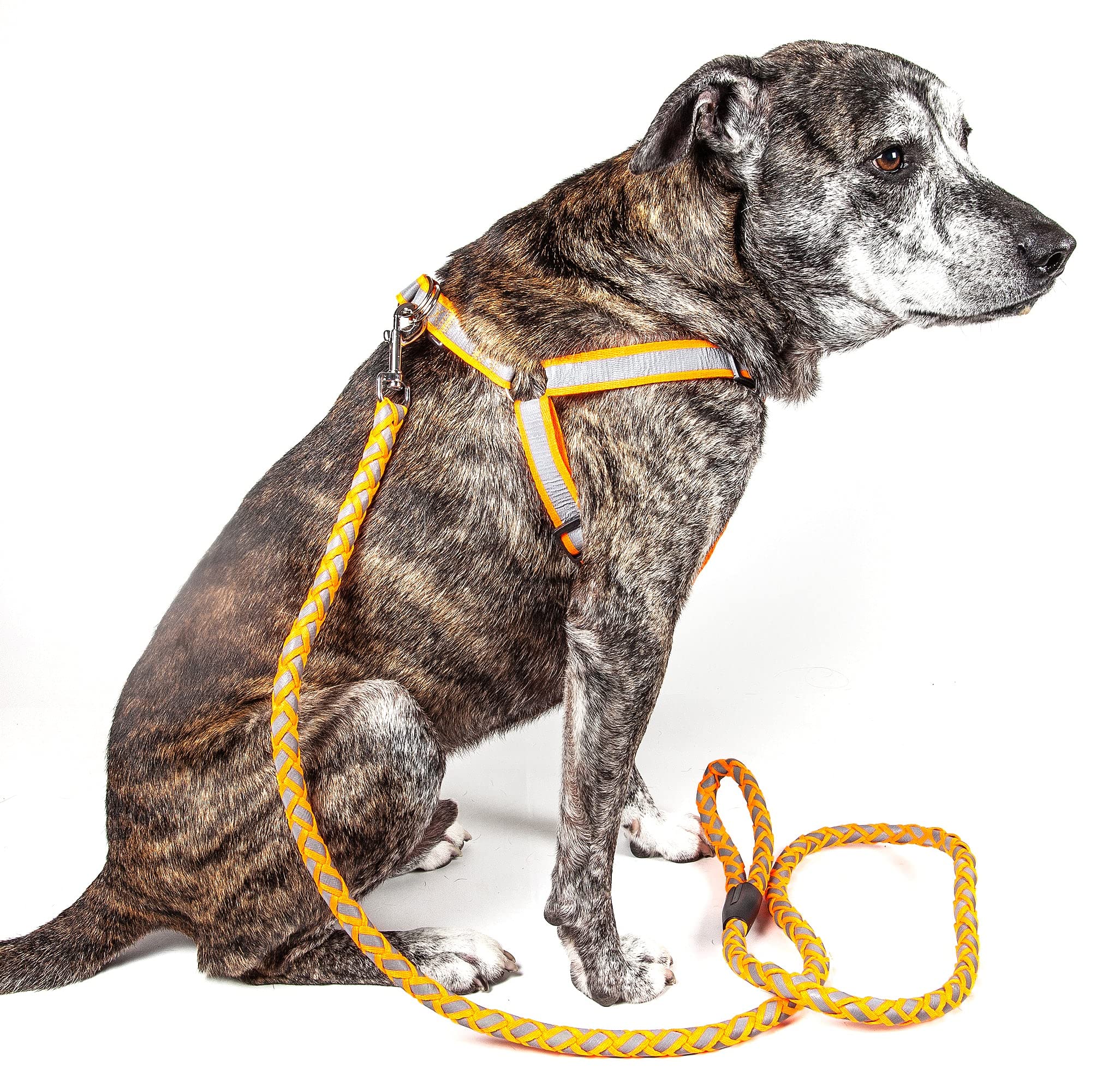 Pet Life  Durable 3M Reflective 2-in-1 Extra Long Pet Leash and Adjustable Dog Harness - Features Thick-Grade Interlocked Reflec