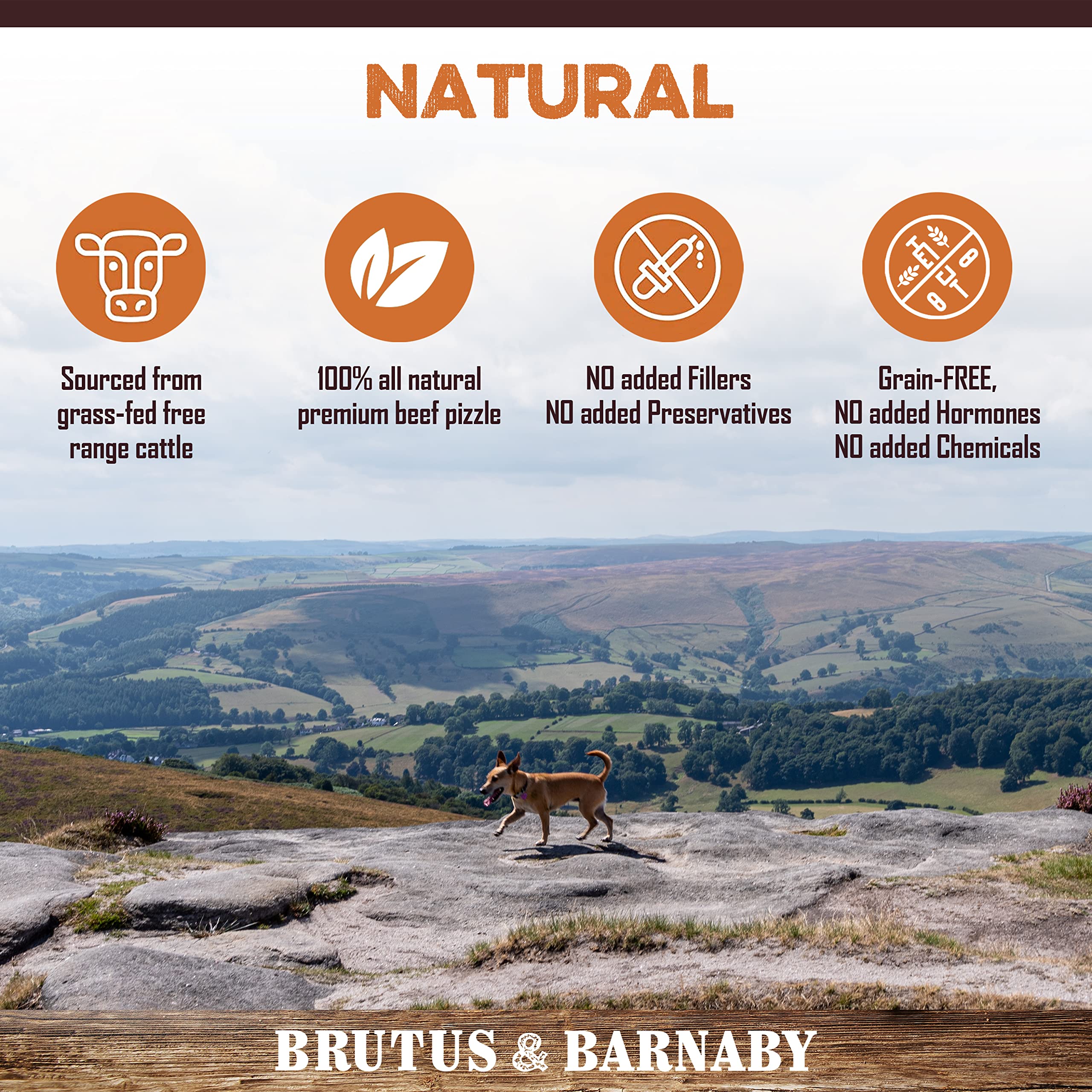 BRUTUS & BARNABY Thick Bully Sticks for Dogs - Odor Free Chews for Large, Medium & Small Breeds - Grain-Free, Rawhide-Free, Dige