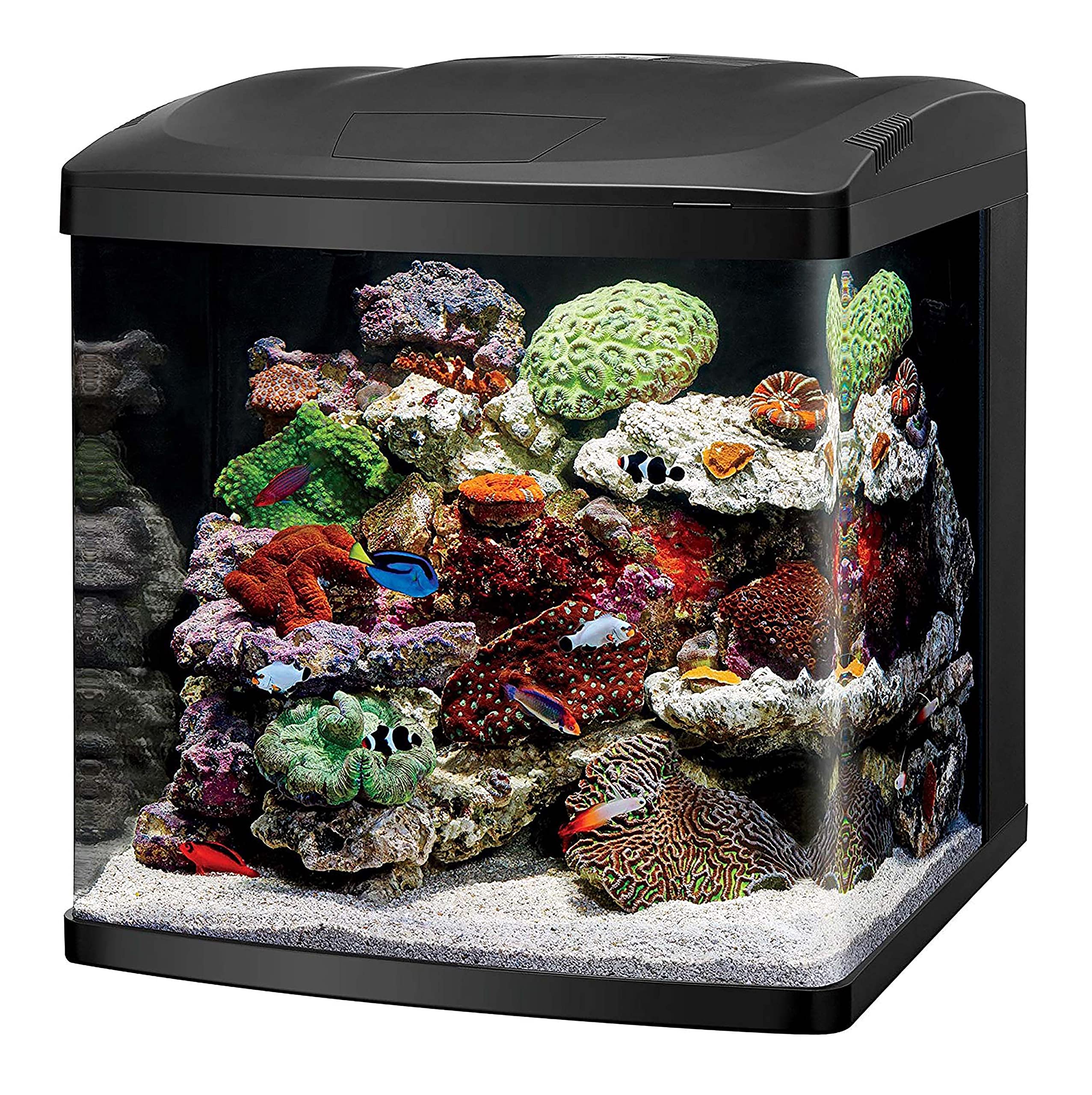 Coralife Led Biocube Aquarium Fish Tank Kit, 32 Gallon