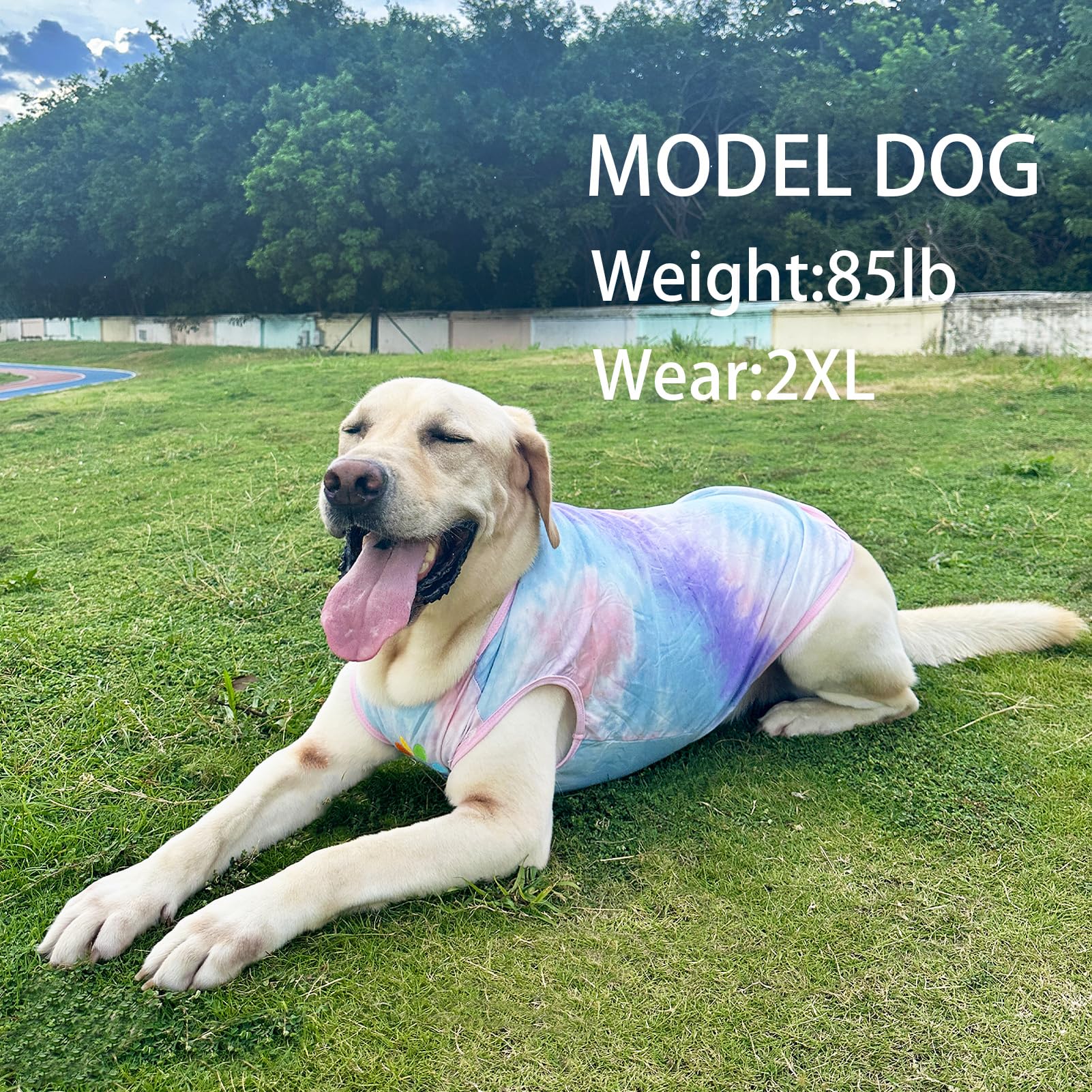 PriPre Dog Shirt Dog Vest Summer Tie Dye Dog Clothes Cool Breathable Cotton T-Shirt Medium Large Dog Boys Girls Shirt 2XL
