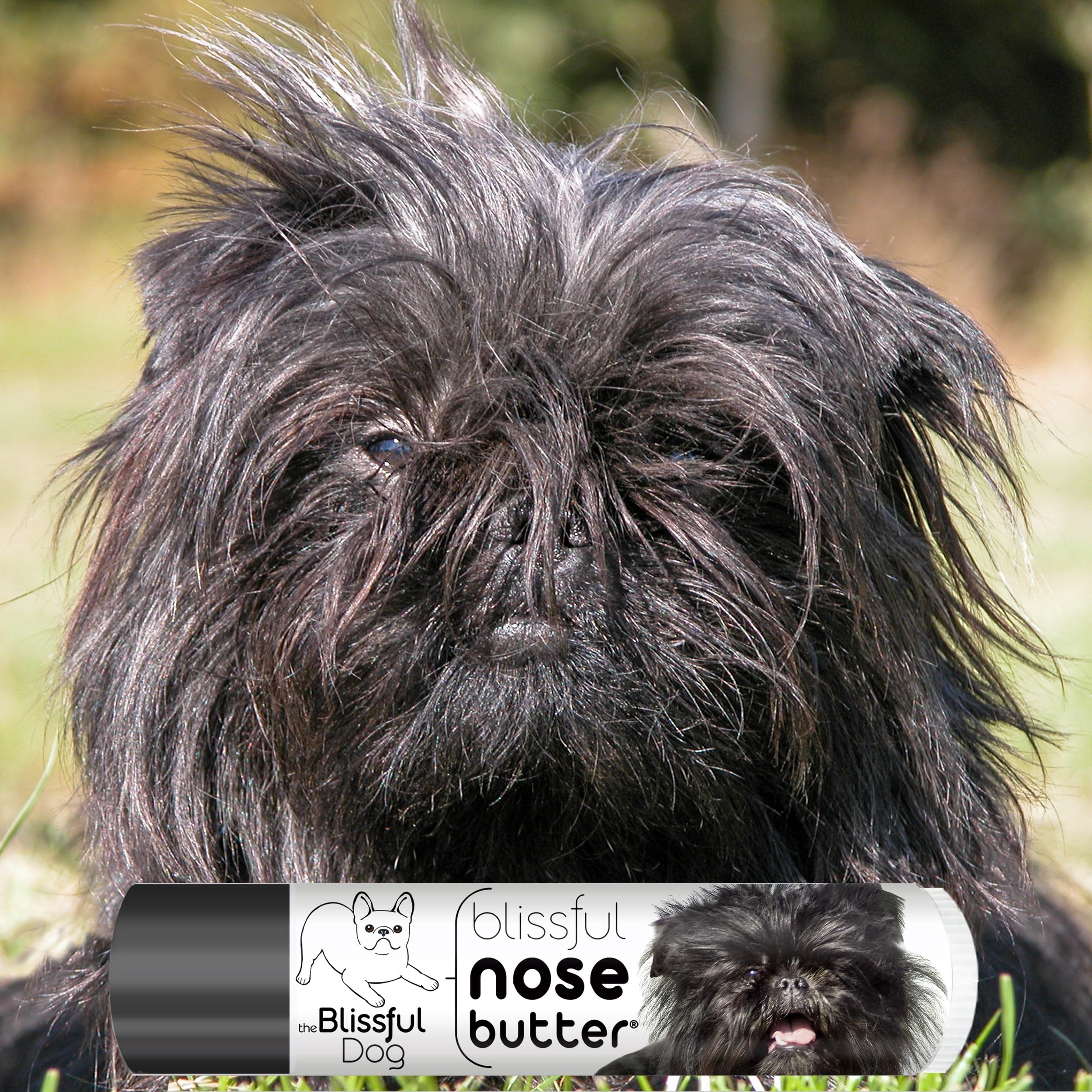 The Blissful Dog Affenpinscher Unscented Nose Butter - Dog Nose Butter, 0.15 Ounce