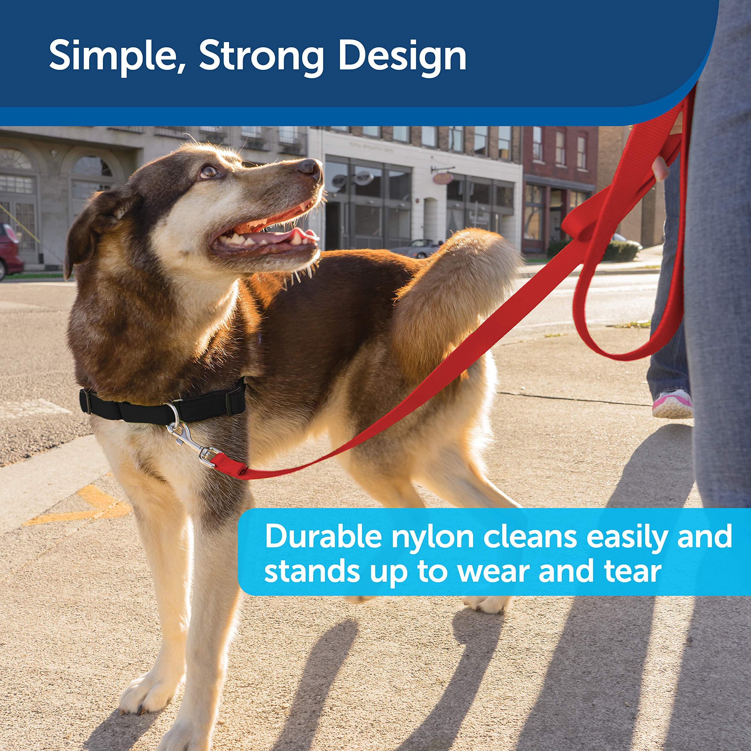 Petsafe Nylon Dog Leash - Strong, Durable, Traditional Style Leash With Easy To Use Bolt Snap - 3/8 In. X 6 Ft., Red
