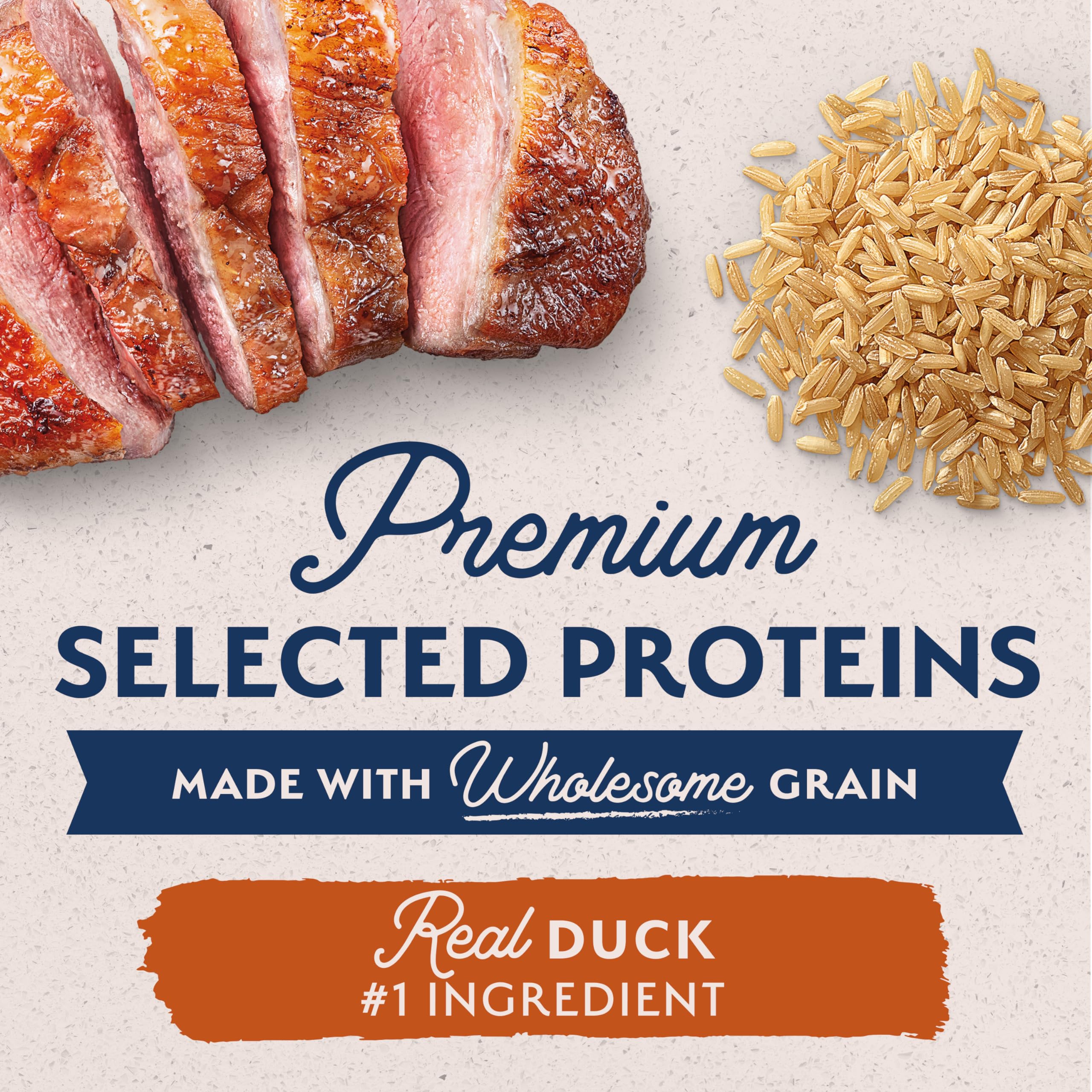 Natural Balance Limited Ingredient Adult Wet Canned Dog Food with Healthy Grains, Reserve Duck & Brown Rice Recipe, 13 Ounce (Pa