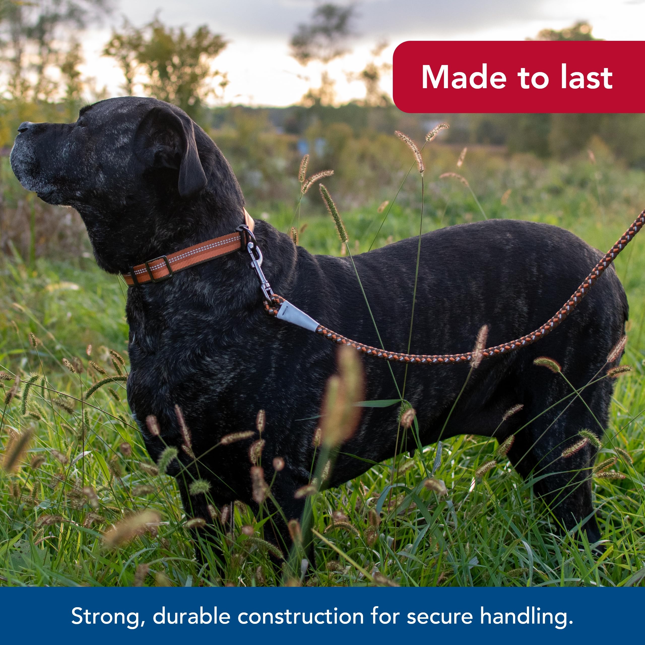 Coastal Pet K9 Explorer Reflective Braided Rope Snap Dog Leash - Heavy-Duty Leash - Comfortable & Secure Grip - Reflective Cord & Rugged Gunmetal Hardware - Campfire Orange, 1/2' X 6'