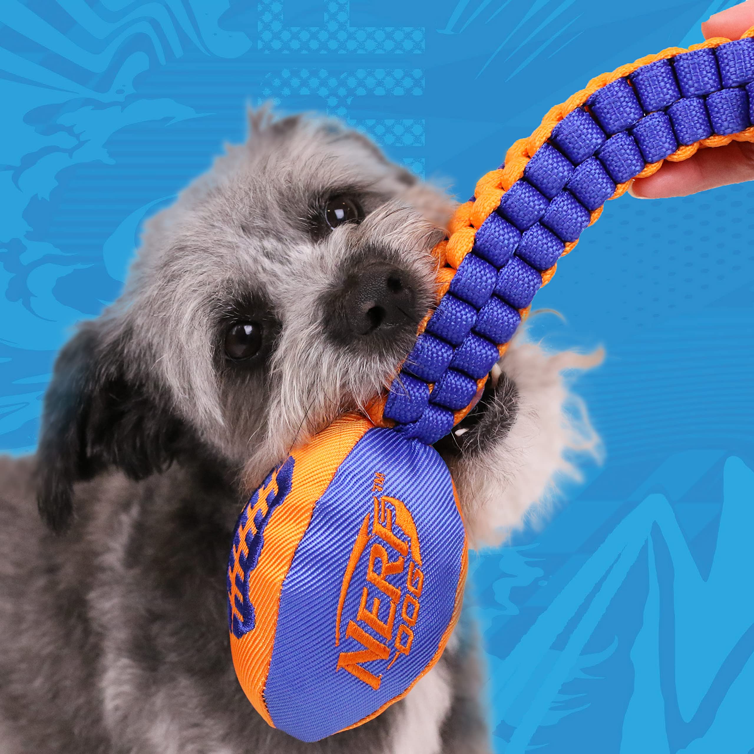 Nerf Dog Vortex Chain Tug Dog Toy With Squeaker Football Head, Lightweight, Durable, Water Resistant, 30 Inches, For Medium To Extra-Large Breeds, Single Unit (3474)