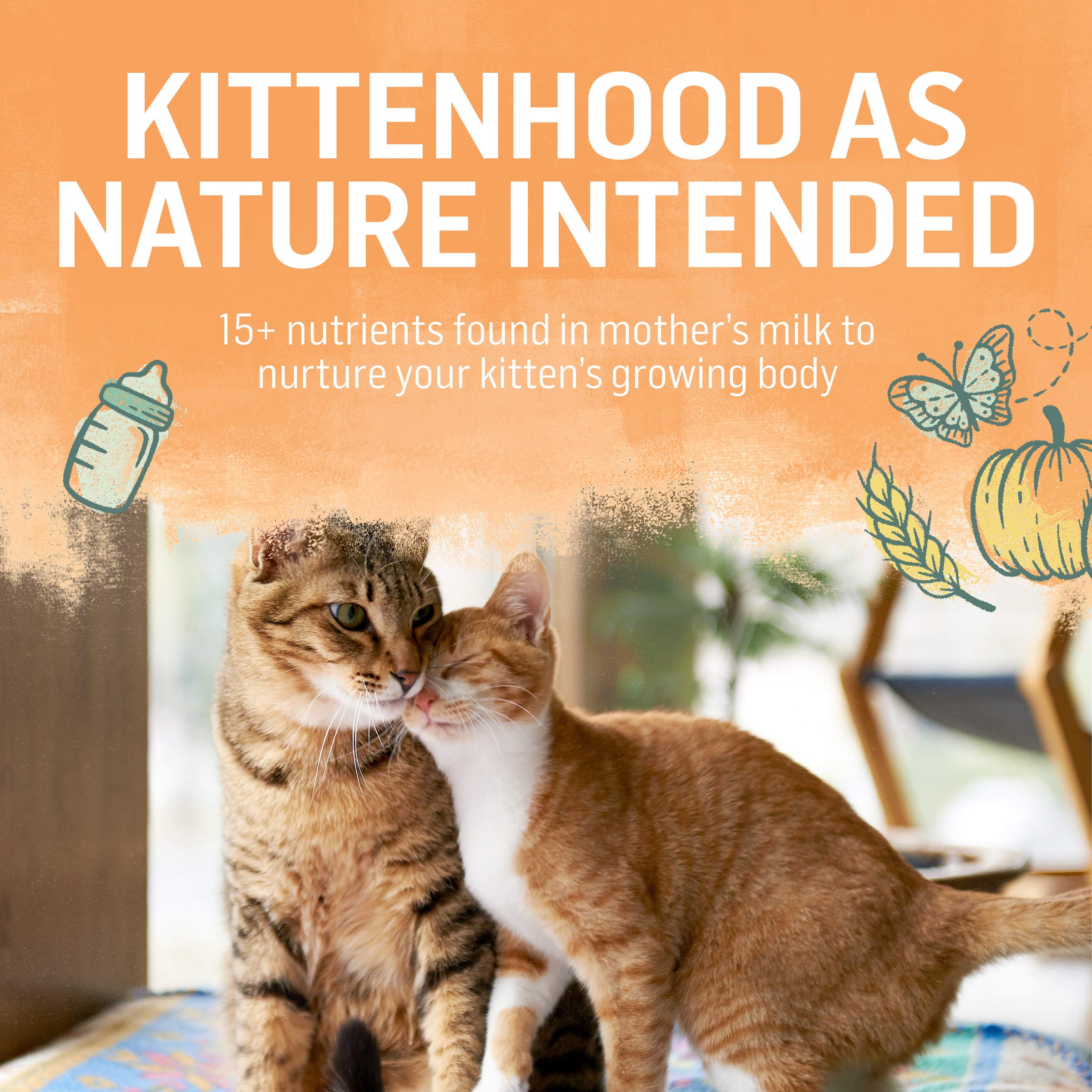 Purina Beyond High Protein, Natural Kitten Food, Kitten Chicken & Oatmeal Recipe - 5 lb. Bag