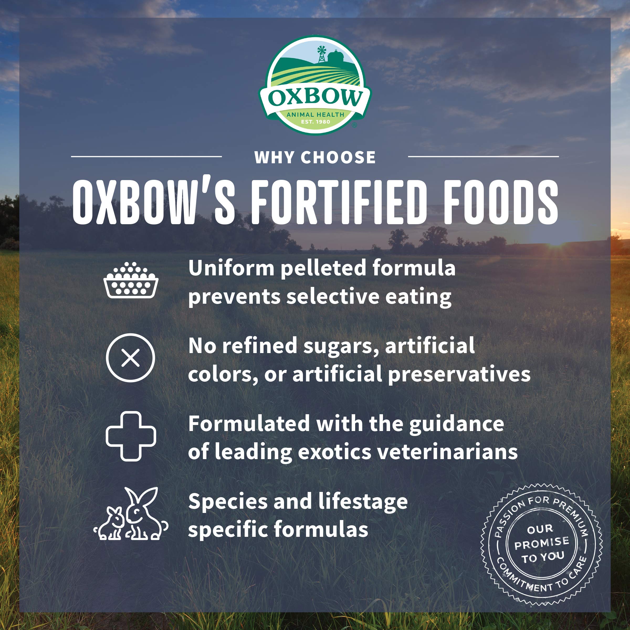 Oxbow Essentials Chinchilla Food - All Natural Chinchilla Food - 3 lb 9 (Packaging may vary)